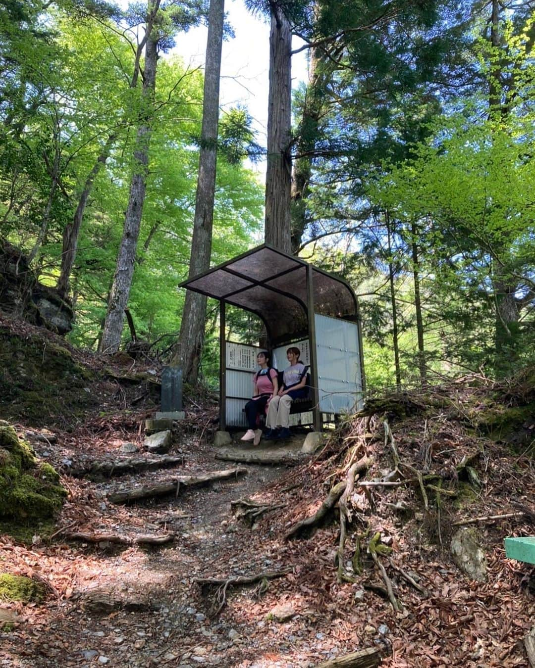 茜さやさんのインスタグラム写真 - (茜さやInstagram)「#七面山　の　#宿坊　へ泊まりました⛰  弟と（運転してくれた）もこちゃんとちーさんとちーさんのお友達のくまちゃんと⛰✨  休み休み片道6時間かかってしんどすぎたけど🥲  頂上でのご来光や生活は本当に人生の中で忘れられない瞬間になりました😣  体力つけたらまた来年あたり登りたいなぁ💪🏻✨  #山梨県　#登山　#寺 #修行　#御祈祷　#山　#山登り　#スポーツウェア #adidas #yamanashi #mountain #mountains #temple」4月27日 16時17分 - saya.akane