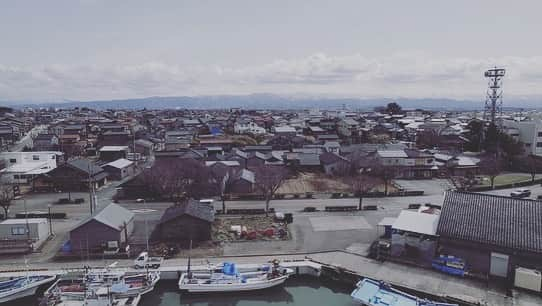 森口瑤子さんのインスタグラム写真 - (森口瑤子Instagram)「本日の 発酵の里ニッポン は 石川県白石市の ふぐの子ぬか漬け です。 是非ご覧ください。 美味しそう〜。 夜10時30分からです。 お楽しみに。 .  #発酵の里ニッポン  #bs松竹東急   #石川県白石市   #ふぐのこぬか漬け」4月28日 9時44分 - yokomoriguchi_official