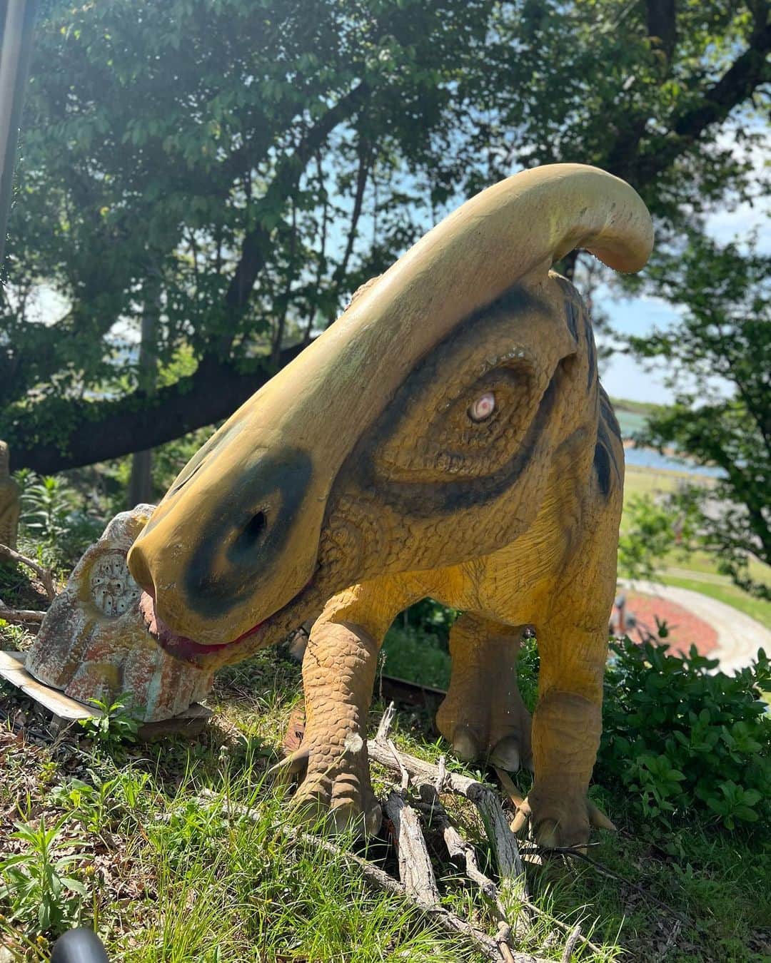 伊藤春香さんのインスタグラム写真 - (伊藤春香Instagram)「これがめあてで行った東京ドイツ村の 「ジュラジャーマンライド」。  カートに乗って恐竜の森を 探検するアトラクションなんだけど、 かなり楽しかった…！！  （※以下ネタバレ的要素※）  「途中写真撮影があるので そこではぜひマスクを外してくださいね～」 って言われて  てっきり機械だと思ったら 人間のカメラマンさんが出てきたの びっくりした…！　←せっかくなので買いました。  恐竜とは一定の距離があるので、 息子も安心しきって乗っていたけど  恐竜の口の中に入っていくポイントは 怖かったみたいで 「こわい〜😭」と固まってました。←写真　  #ジュラジャーマンライド #東京ドイツ村 #恐竜好き #恐竜好きママ #恐竜好きと繋がりたい #恐竜好きな息子  #恐竜好き男子 #恐竜大好き #恐竜アトラクション」4月28日 17時43分 - ha_chu