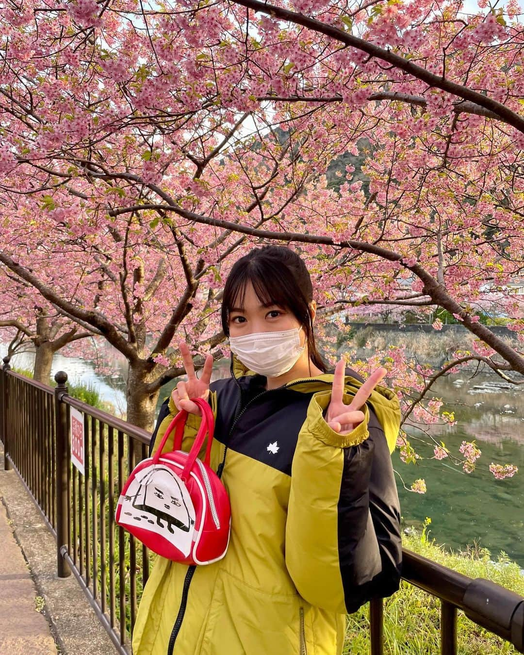 北原里英さんのインスタグラム写真 - (北原里英Instagram)「🌸🌸🌸 BS松竹東急📺こんなところでキャンパーズ！ ロケ先では河津桜が満開でとっても綺麗でした👏🏻🥹 ロケ中に #佐藤アツヒロ さんが たくさん写真を撮ってくださいました🌸 写真を撮るのが好きだそうで、本当に写真が上手でいい写真たくさんです🥹 ありがとうございます🌸 わたしが持ってるカバン🧰のキャラクターは この番組のキャラクターです😂カワイイ 毎週水曜22時半から放送中📺 来週もわたしは出演しますので是非見てください🏕 .  #こんなところでキャンパーズ  #河津桜 #伊豆 #キャンプ」4月28日 21時32分 - rie_kitahara_3