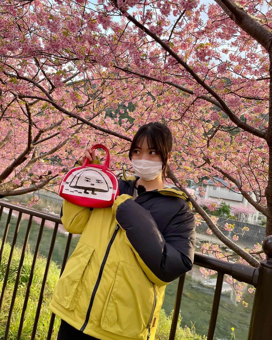 北原里英さんのインスタグラム写真 - (北原里英Instagram)「🌸🌸🌸 BS松竹東急📺こんなところでキャンパーズ！ ロケ先では河津桜が満開でとっても綺麗でした👏🏻🥹 ロケ中に #佐藤アツヒロ さんが たくさん写真を撮ってくださいました🌸 写真を撮るのが好きだそうで、本当に写真が上手でいい写真たくさんです🥹 ありがとうございます🌸 わたしが持ってるカバン🧰のキャラクターは この番組のキャラクターです😂カワイイ 毎週水曜22時半から放送中📺 来週もわたしは出演しますので是非見てください🏕 .  #こんなところでキャンパーズ  #河津桜 #伊豆 #キャンプ」4月28日 21時32分 - rie_kitahara_3