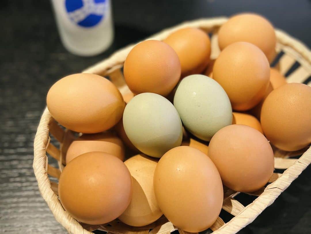 冨永愛さんのインスタグラム写真 - (冨永愛Instagram)「⁡ ⁡ おやすみの日にふらっと行った長野 ”TKG”の旗に引き寄せられて入った新鮮なたまご料理屋さん 期間限定のトリュフカルボナーラも卵もめっちゃ美味❤︎ もちろんTKGもいただきました ⁡ たらふく！ #食いしん坊シリーズ ⁡」4月29日 19時04分 - ai_tominaga_official