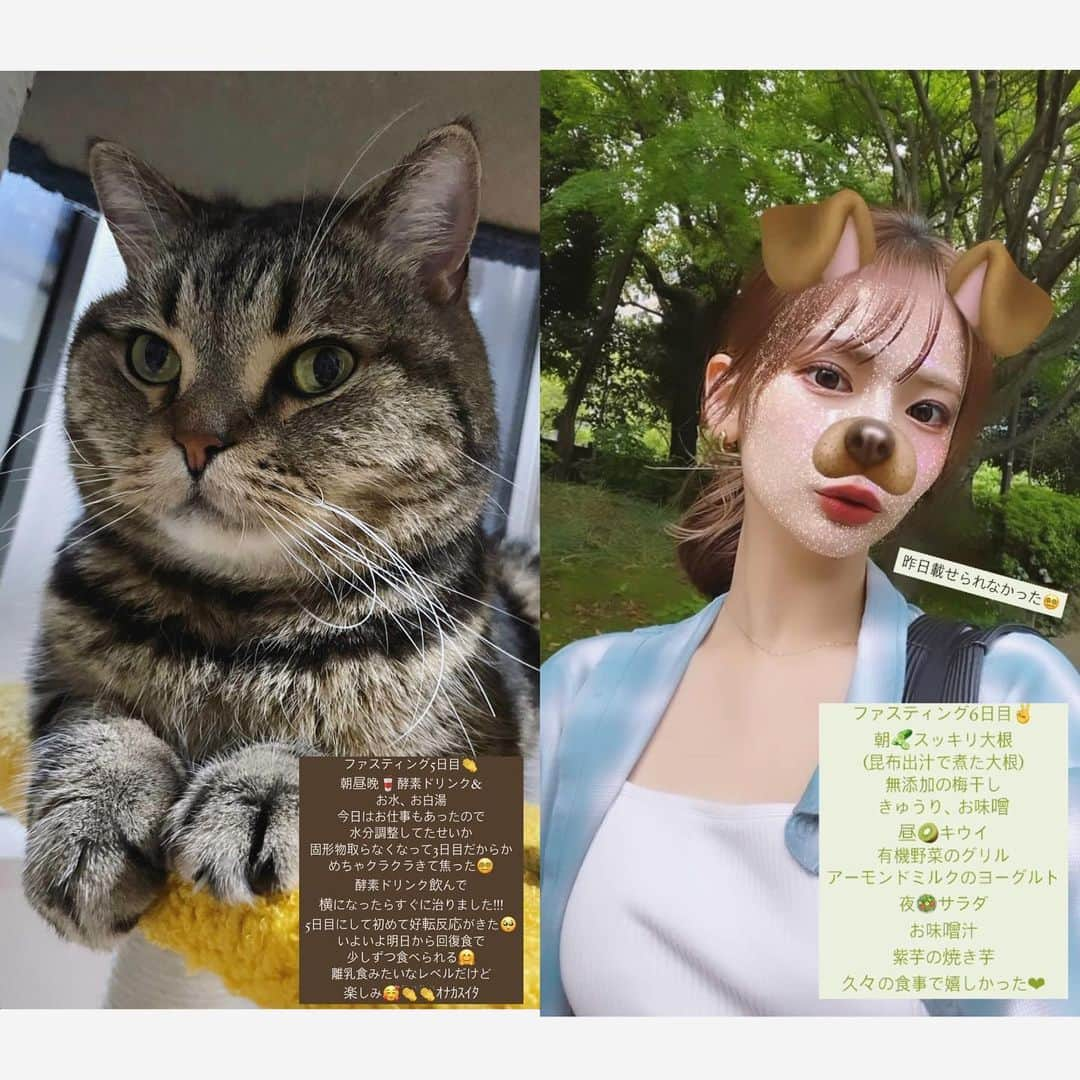 木下ひなこさんのインスタグラム写真 - (木下ひなこInstagram)「先週1週間はファスティング(断食)期間でした🥺👏  体重2.4キロ減、体脂肪率3.2%減という 結果が出て嬉しかったです🥰🔥 ※専門の先生の指導のもと行いました🙏  ファスティング後は いままで以上に食べ物が美味しく感じるため 食べすぎないように気をつけています🤣!!!ﾀﾍﾞﾀｲﾓﾉﾀｸｻﾝ笑 人生一度きりなので とても良い経験になったし、 また機会があればやりたいなと思います☺️ 楽しく引き締まってよかった❤️‍🔥  #ファスティング#断食#ダイエット#酵素#酵素ドリンク#サラダ」4月30日 21時10分 - hinako_0525