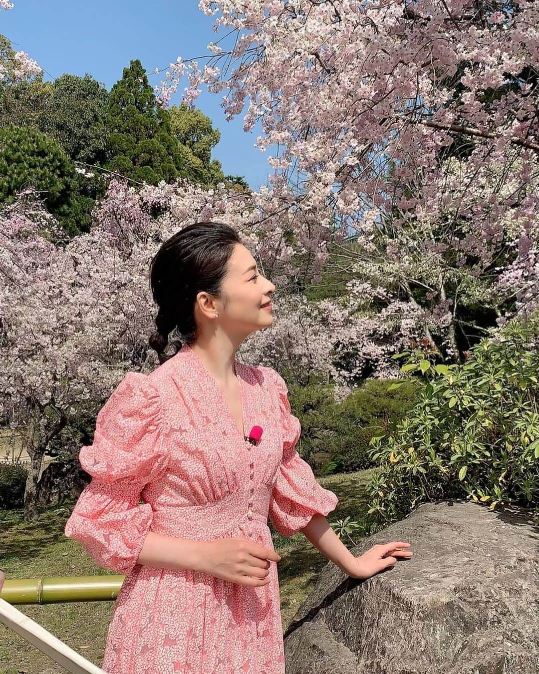 檀れいさんのインスタグラム写真 - (檀れいInstagram)「🌸🌸  ある日のぶらり🌸🌸  今年も素敵な京都の桜に出逢いました🌸  どの桜も美しくて とても幸せな気持ちになりましたよ🌸  京都ぶらり歴史探訪 BS朝日 5月4日20時〜 「桜の名所ベスト10」  皆さんも京都の桜の美しさを ぜひ、ご覧くださいね🌸  檀れい🌸  #danrei #檀れい #だんれい  #太田プロ #京都ぶらり #桜 #お花見 #お花見スポット #日本の美 #日本の景色 #BS朝日 #tomokokodera #kashikeybrowndiamond  #檀スタグラム」4月30日 23時39分 - danrei_official