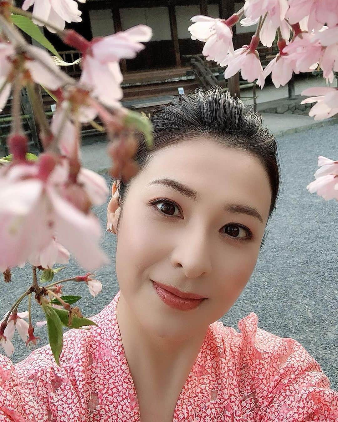 檀れいさんのインスタグラム写真 - (檀れいInstagram)「🌸🌸  ある日のぶらり🌸🌸  今年も素敵な京都の桜に出逢いました🌸  どの桜も美しくて とても幸せな気持ちになりましたよ🌸  京都ぶらり歴史探訪 BS朝日 5月4日20時〜 「桜の名所ベスト10」  皆さんも京都の桜の美しさを ぜひ、ご覧くださいね🌸  檀れい🌸  #danrei #檀れい #だんれい  #太田プロ #京都ぶらり #桜 #お花見 #お花見スポット #日本の美 #日本の景色 #BS朝日 #tomokokodera #kashikeybrowndiamond  #檀スタグラム」4月30日 23時39分 - danrei_official