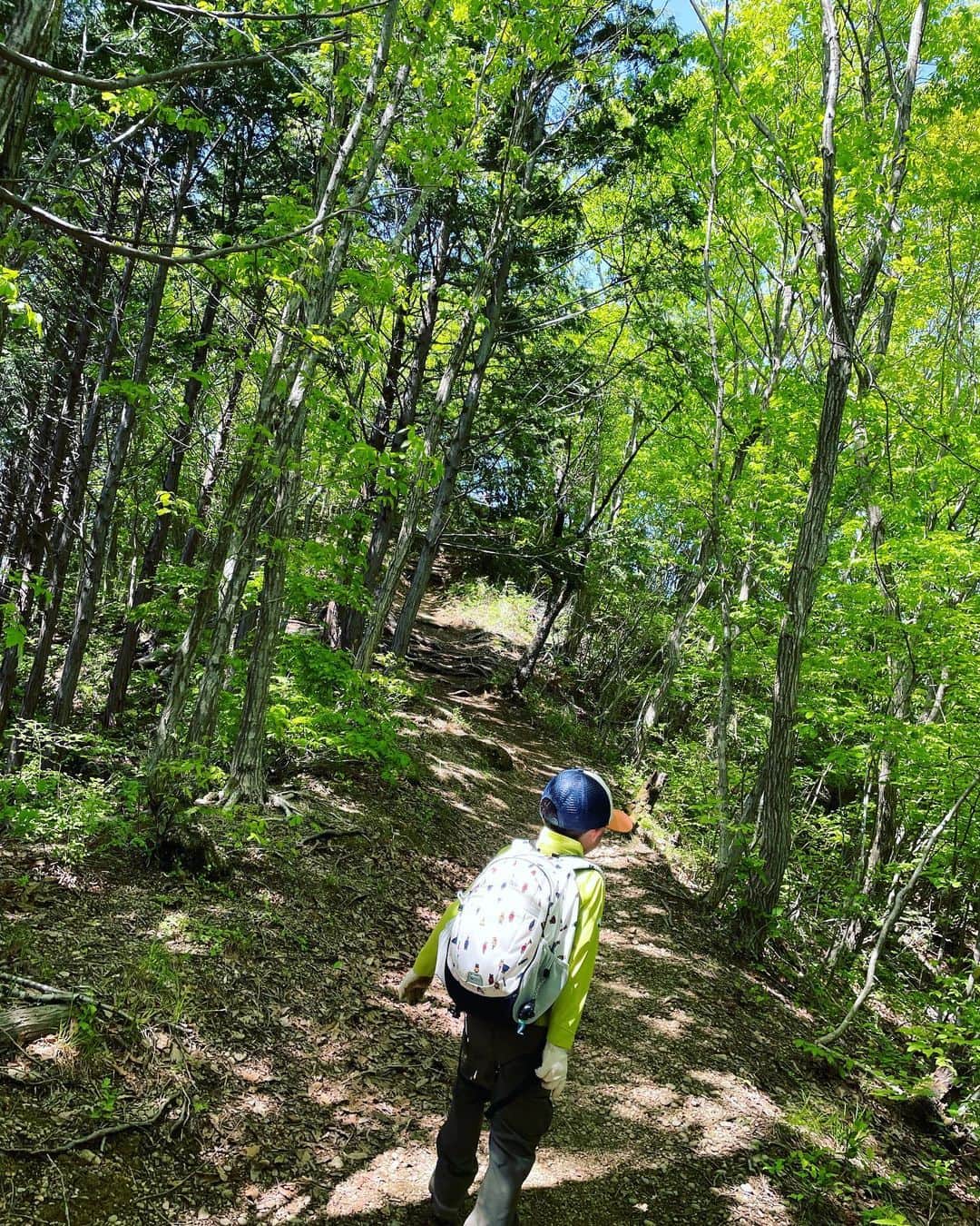 釈由美子さんのインスタグラム写真 - (釈由美子Instagram)「昨日は爽やかな快晴でしたね🌞  暑すぎもなく、寒すぎもなく 青空をのぞめて最高に気持ちの良いお天気の日に  息子と日帰りでハイキングに行ってきました(^^)  パパは予定が入っていたので 初めての母子登山🥾  連休の渋滞を考慮して 近場の低山を選びました。  向かった先は、相模湖のプレジャーフォレスト。  8時ごろ到着し まだガラガラの駐車場に停めると 「わぁ😍❤️今日は遊園地🎡で遊ぶの？」  と興奮する息子。  そりゃあ、そうだよね。笑  でも今日は山なんだよー。  幸いにも息子も(今のところは)山好き男子でいてくれてるので(^^;;  二人でワクワクしながら 手を繋ぎ登山道へ向かいました。  石老山入口バス停から顕鏡寺経由で登る石老山ハイキングコースは 2019年の台風の影響で通行止めになっていますが  相模原市と地域住民の皆様のご尽力により 昨年、大明神展望台登山口から登る新ハイキングコースで 登山を楽しめるようになりました♪  荒れた山道を整備して わかりやすい道標や ゆったり休憩できるベンチも多数設置してくださっていて ありがたかったです🙏✨  今回この山を選んだのは  息子に新緑のパワーを 体いっぱい感じてもらいたかったからです🌿  そして近くにプレジャーフォレストがあるので 下山後に体力に余力があれば 遊んで帰ろうね🎢と 子どもにモチベーションを与えることもできます（笑）  併設された温泉うるり♨️に入って帰れば 登山の疲れも癒せるし 駐車場代も無料になります😁  本格的な登山シーズンが始まる夏前のこのゴールデンウィーク期間中は 標高1000m以下の低山で まさに“山萌える”新緑を楽しめるので  私にとっては ウズウズしちゃうぐらい  一番大好きなシーズンです🤩✨  息子も 「新緑トンネルだぁ〜🌿🌿」  と言いながら新緑の木立の下を歩いてました☺️  石老山は標高約700m程ですが 低山と侮るなかれ。  新ルートはなかなかの急勾配で  途中ロープを使ってよじ登ったり 前日の雨でぬかるんでいて滑りやい箇所もあったりで  子連れには、ヒヤッとする スリリングな所もありました😳  そういう時こそ、焦らず ゆっくり、落ち着いて🖐  神経を集中させて 一歩一歩、足を踏みしめることを意識させました🦶  親の心配をよそに 息子は 「うわぁ〜自然のアスレチックみたいで楽し〜い🤣❣️」と叫びながら  ひょいひょいと小猿のように登っていく背中は 頼もしく見えました😌✨  もはや、 息子の方が体力があってパワフルなので おいていかれないように 母は必死です😅💦  途中、大明神展望台からは 新緑と相模湖の絶景を眺めることができ  最高に気持ちのいい ハイキングコースでした！  近くの高尾山や丹沢の大山などの観光地と比べて穴場なのか？  大型連休中なのに、登山者も少なく 山頂でもゆっくり休むことができました🍙  連休後半はお天気も良くなるそうなので🌞  ぜひ新緑に癒されに 行ってみてください🌿🌿  ちなみに。 コースタイムは子どもの足でゆっくり歩いて 休憩込みで6時間👣  歩行距離は8.5キロでした😳  なかなかお散歩でも 8キロは歩けないので💦  登山パワーって凄いなぁ✨と 改めて感じました😌  息子は相当山登りが気に入ったようで  「毎日、山登りしたい‼️」 と 嬉しいこと言ってくれます🥺❤️  子育てにおいても 山は多くの学びを得ることができます⛰  山のなかで  体力をつけ  自然の美しさに感動する みずみずしい感性を養いたい。。  一方、怪我や遭難事故にも繋がる危険な場所だということも 親子で確認しあい、 緊張感を持って自制することも身に付きます。  これからもたくさんの山に親しみながら 一緒に成長していけたらと願っています🥰  #新緑ハイキング #山萌える #親子登山 #石老山 #石老山ハイキング #大明神〜東雲山〜石老山コース #相模湖 #下山後はプレジャーフォレスト #山好き親子 #山の日 #山の日アンバサダー」5月1日 7時10分 - yumikoshaku