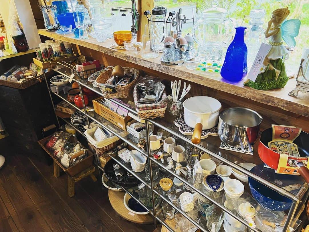 篠原信一さんのインスタグラム写真 - (篠原信一Instagram)「木々の中に建つ小さな雑貨店で買い物😁 欲しい物だらけ😅 #クラフトショップ作家屋」5月1日 17時24分 - s.shinohara_life