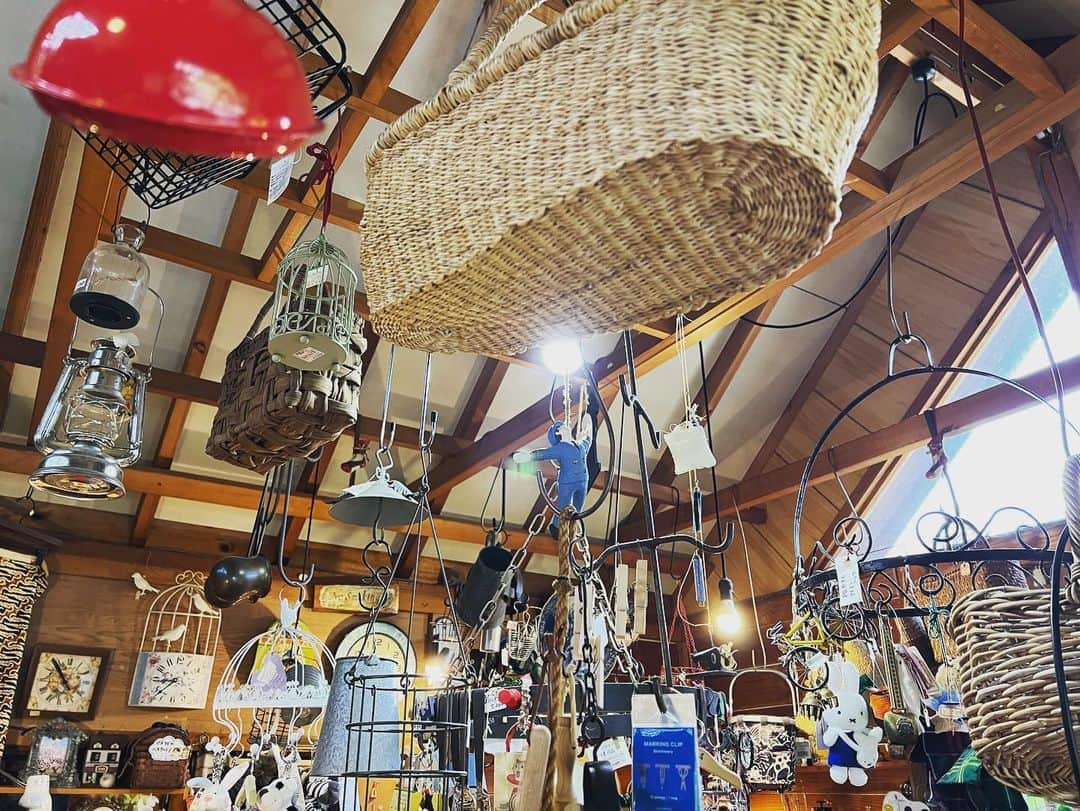 篠原信一さんのインスタグラム写真 - (篠原信一Instagram)「木々の中に建つ小さな雑貨店で買い物😁 欲しい物だらけ😅 #クラフトショップ作家屋」5月1日 17時24分 - s.shinohara_life
