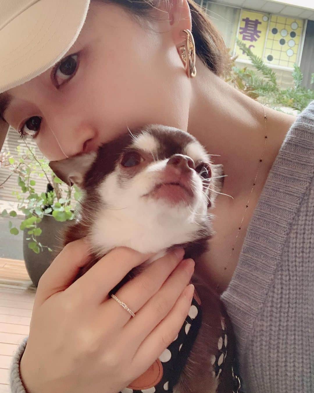 上野なつひさんのインスタグラム写真 - (上野なつひInstagram)「愛がずっとそばにある❤️  愛おしいなぁ…  キナコとチョコとデート✨ #チワワ #愛犬  #dog」5月2日 21時24分 - natsuhi