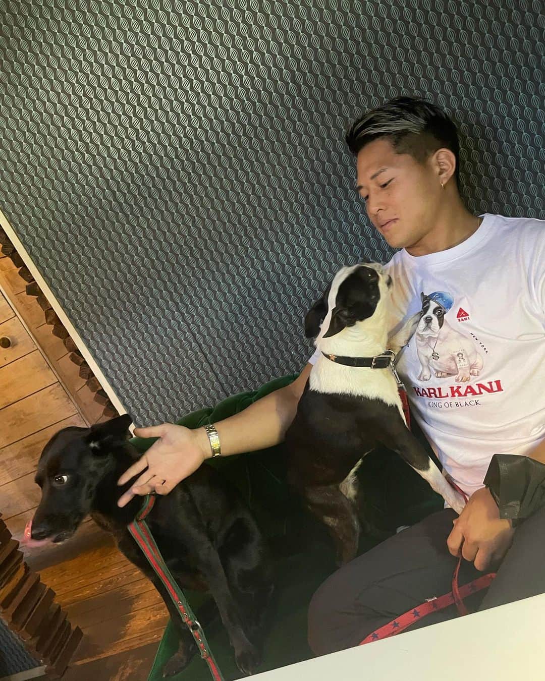 大雅さんのインスタグラム写真 - (大雅Instagram)「☕️🐕‍🦺 #犬　#dog #☕️」5月3日 14時39分 - taiga_814