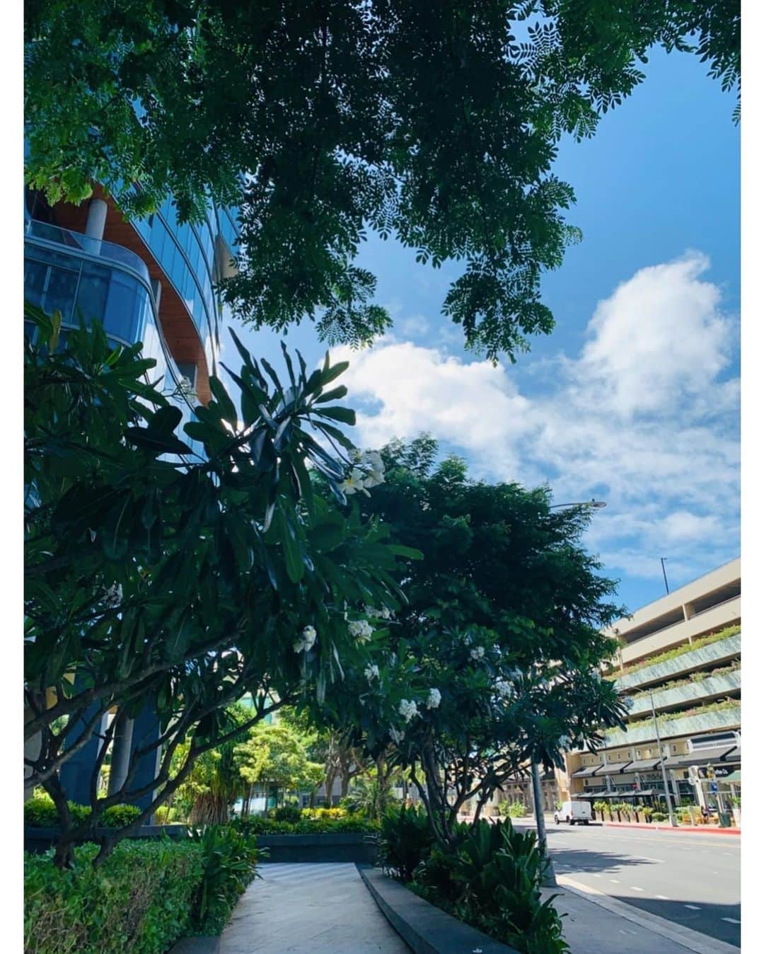 伊東美咲さんのインスタグラム写真 - (伊東美咲Instagram)「皆さまGW中盤ですね、 ハワイは気持ちの良い貿易風で爽やかな一日を迎えています。  さて最近私が読んだ本は、 高橋宏和さんご著書 "叶えもん"です。 ご本人曰く30歳の時、人脈、金脈、ブランド無しのサラリーマンでした。 そのご自身をモデルに今の幸せをどのように築き上げられたのか、ユーモアと学びが沢山詰まった一冊です。 元々物理学を研究されいた高橋さん、科学の側面から新刊の願望実現の教科書も分かりやすく書いて下さっています。 皆様は夢を叶えるために何かされていますか？夢がどんどん叶う人、中々叶わない人の違いとは何でしょうか。  さて、次の読書には幅広い層に大好評の清水康一郎さんの絆徳経営のすゝめを拝読させて頂く予定です。それでは良い連休をお過ごしくださいませ。  #叶えもん #願望実現の教科書 #Hawaii #気持ちの良い一日 #Island #自然 #習慣 #kindle #読書 #高橋宏和さん #清水康一郎さん #絆徳経営のすゝめ」5月3日 17時06分 - misaki_ito_official