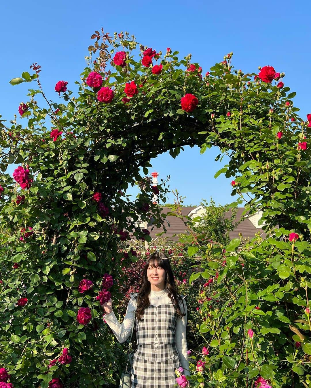 日下部美愛さんのインスタグラム写真 - (日下部美愛Instagram)「🥀🌹 ⁡お花に囲まれてきました ⁡展示会でオーダーしたセットアップ！ ⁡ようやく着られて幸 ⁡#redyazel   #photo #japan #model #me #hair #fashion #selfie #makeup  #followme #instagood #camera #instadaily #dailylook #사진 #데일리  #데일리 #셀카 #메이크업 #아이돌 #일본 #일본여자」5月3日 20時11分 - miakusakabe_official