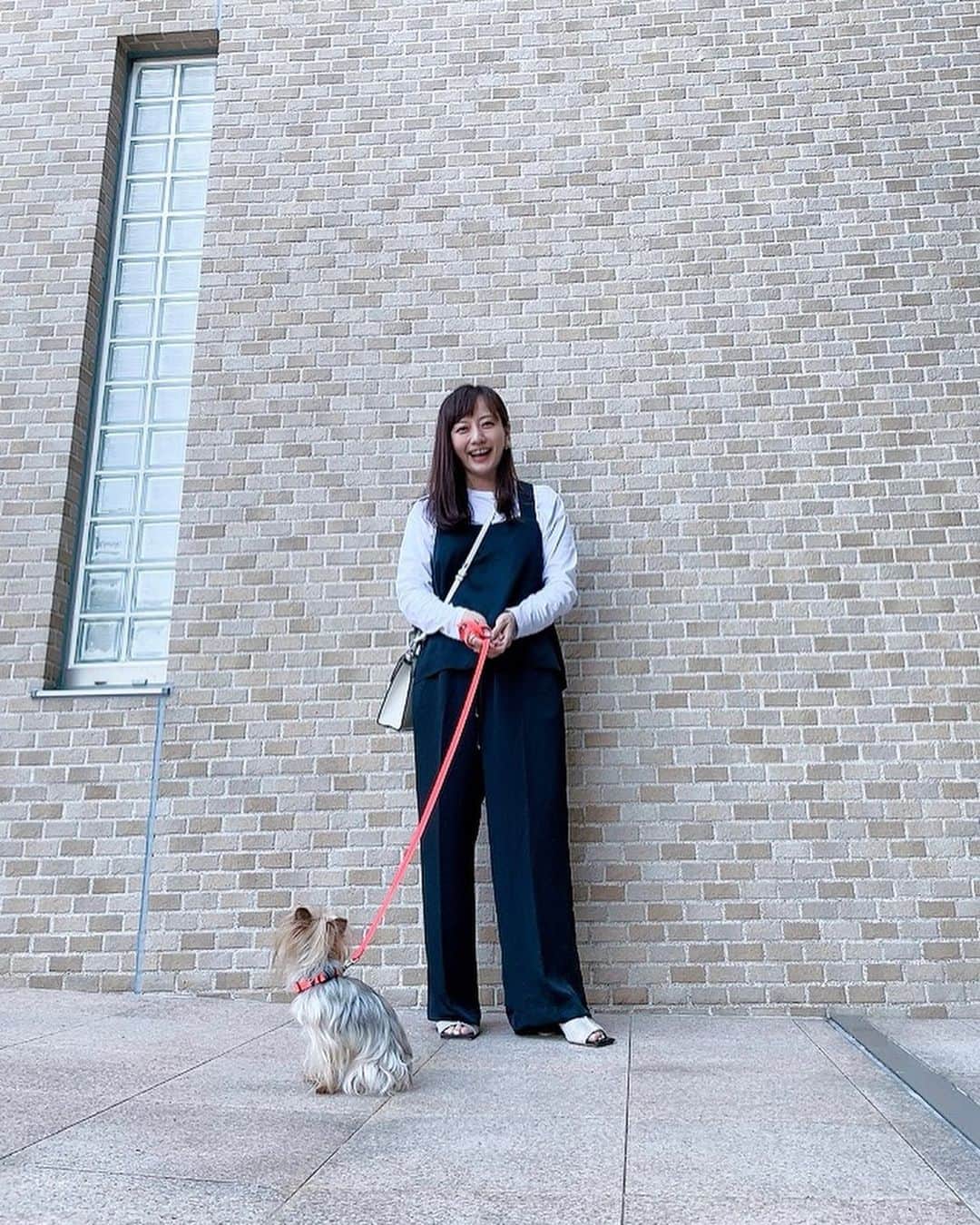島本真衣さんのインスタグラム写真 - (島本真衣Instagram)「今日はいいお天気で、上着なし&ミュールで過ごしました🤍  #私服 #モノトーンコーデ #ミュール #2枚目 #笑顔 #撮影 #母 #お散歩 #アンジュ #沢山歩きました #ヨークシャテリア #yorkie #yorkshire #yorkshireterrier #yorkiesofinstagram  #島本真衣」5月3日 20時14分 - mai_shimamoto_ex