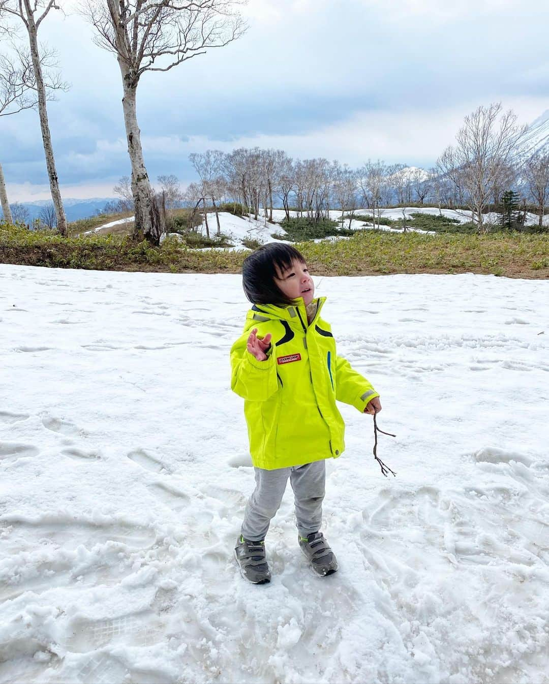 涼紫央さんのインスタグラム写真 - (涼紫央Instagram)「北海道へ。 東京は少しずつ半袖の日も出来てきたけど やっぱりこちらはものすごく寒いです。  ちぇなは写真を撮ろうとしたらすぐに走ってどっかに行く…。  でも3人ともとっても楽しそうで幸せやね〜❤︎ #8歳 #5歳 #2歳」5月4日 2時51分 - toitoitoi