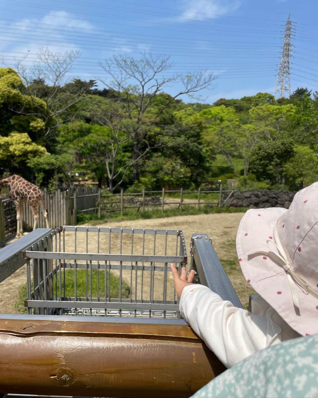 福内櫻子さんのインスタグラム写真 - (福内櫻子Instagram)「GW帰省😌ただいま東京😌  姪っ子ちゃんたちと沢山遊んだ4日間💕動物園行ったりピクニックしたりやりたいこと全部叶えた🥰」5月4日 23時09分 - sakurako_fukuuchi
