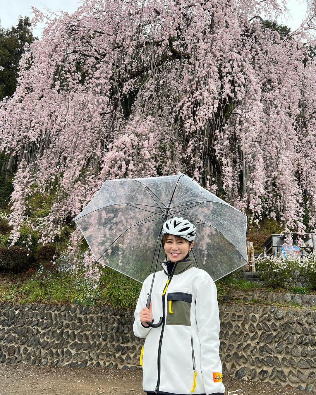 佐野真彩さんのインスタグラム写真 - (佐野真彩Instagram)「今月のチャリ娘は... 檜原村のおもちゃ美術館へ♟️ もともと小学校があった跡地に建てられた施設で、檜原村の資源を使っています🏫 変わったコマやおもちゃがたっくさん✨ 遊び方を教えてもらったよ✊ ちびっ子も大人も楽しめるおもちゃ美術館です🪆🎀  後半は、先月の青梅の桜巡り編🌸 海禅寺や即清寺、梅岩寺へ。 写真の桜は梅岩寺のシダレザクラです、 こちらの桜、ほんとうに綺麗、美しい...✨  ポストは檜原村のキャラクター、 ひのじゃがくんです🥔  前👚 👖@callawayapparel_japan  後👚 @jackwolfskin.jp   #多摩ケーブルネットワーク　#tcn #自転車番組　#チャリ娘　#檜原村　#檜原村観光　#ひのじゃがくん #梅岩寺　#檜原村おもちゃ美術館 #キャロウェイ　#jackwolfskin」5月5日 13時29分 - sano.maya