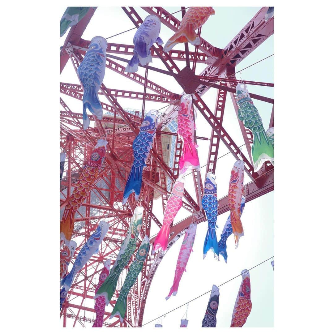 高垣麗子さんのインスタグラム写真 - (高垣麗子Instagram)「* 東京タワー✖️鯉のぼり　 🗼🎏  元気いっぱいの子供達と こどもの日らしいこどもの日を過ごしてきたよ𓂃𓂃  世界中の子供達の健康と平和を願った日🙏🏻  * #こどもの日 #鯉のぼり #東京タワー #🎏 #🗼」5月5日 19時55分 - reikotakagaki