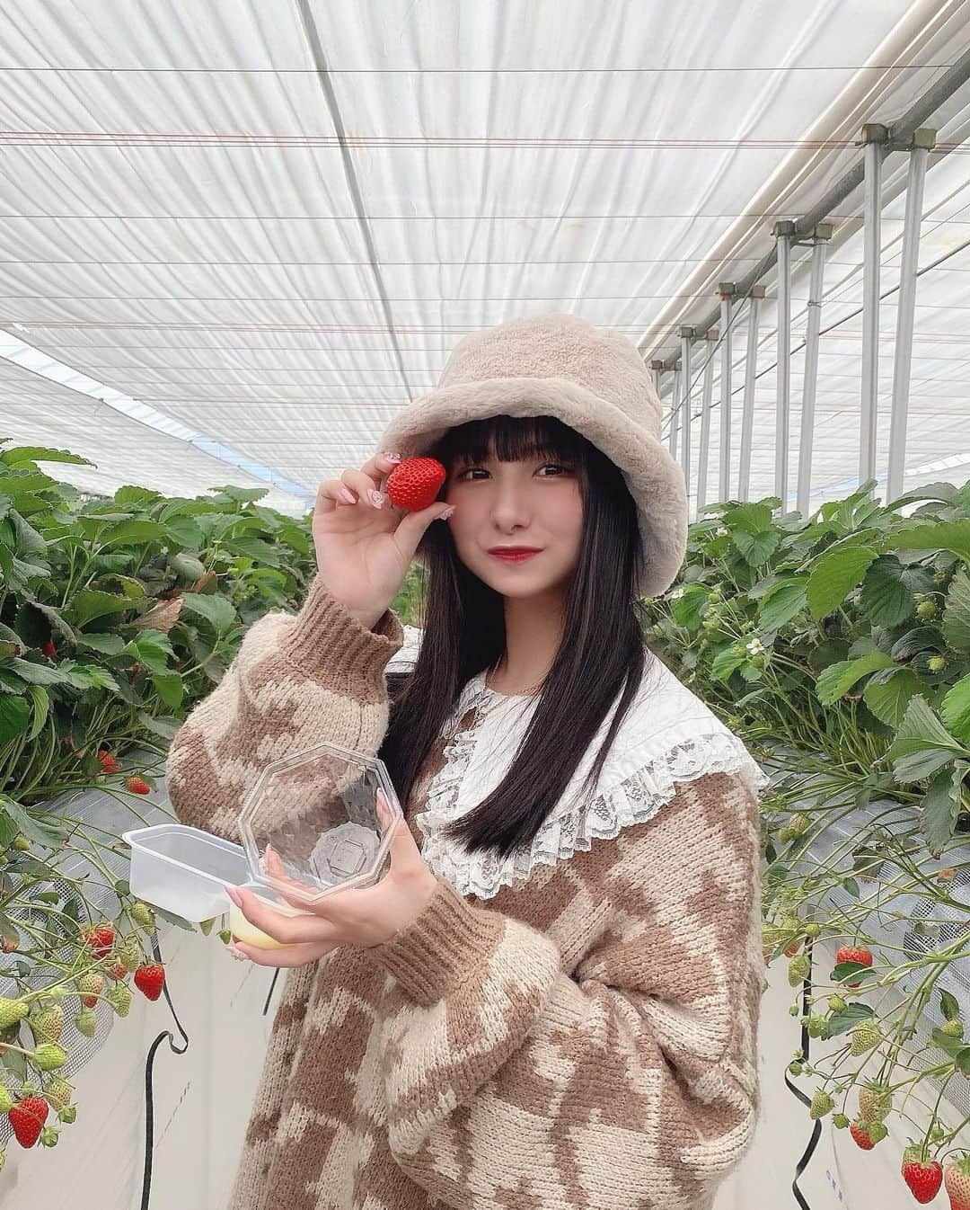 新谷真由さんのインスタグラム写真 - (新谷真由Instagram)「いつだかのいちご狩り🍓🫰🏻」5月5日 20時25分 - ni_mayu43