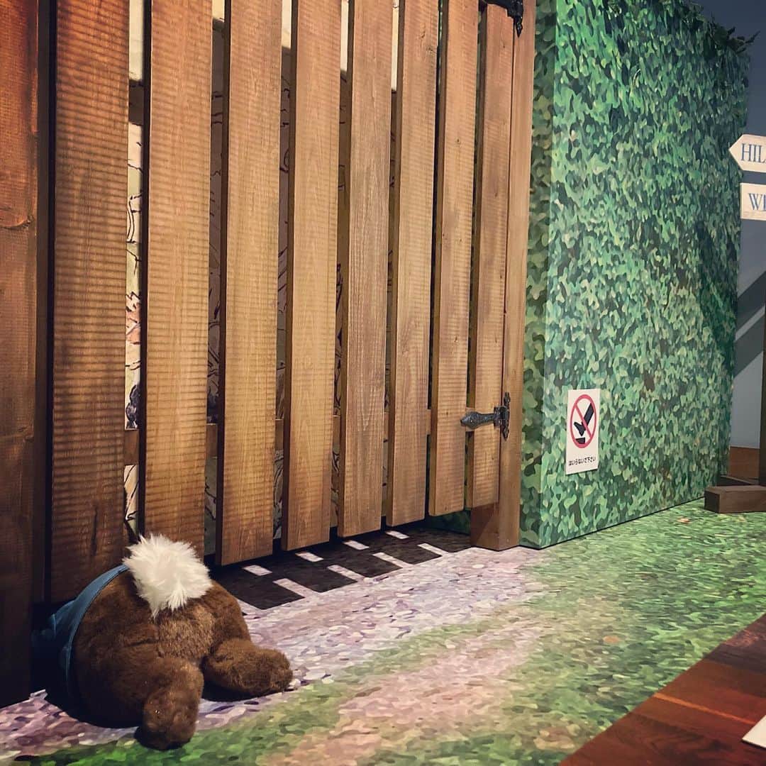 長谷部瞳さんのインスタグラム写真 - (長谷部瞳Instagram)「めっかわな世界🐇🥬🥕  肉のパイにされませんように。  れーきをふりふり 追いかけられませんように。  今日は#こどもの日  大人は元子ども！  自分のココロが子どもに戻ると 不思議と子どもとの距離も縮まります❤️  #ピーターラビット #ピーターラビット展 #ピーターラビットの世界 #イギリス #湖水地方 #絵本 #絵本のある暮らし #絵本の世界 #絵本作家 #絵本原画展 #ビアトリクスポター #うさぎ #ウサギ #世田谷美術館 #グッズ買いすぎ #でも後悔はしてない」5月5日 23時10分 - hasebe_hitomi