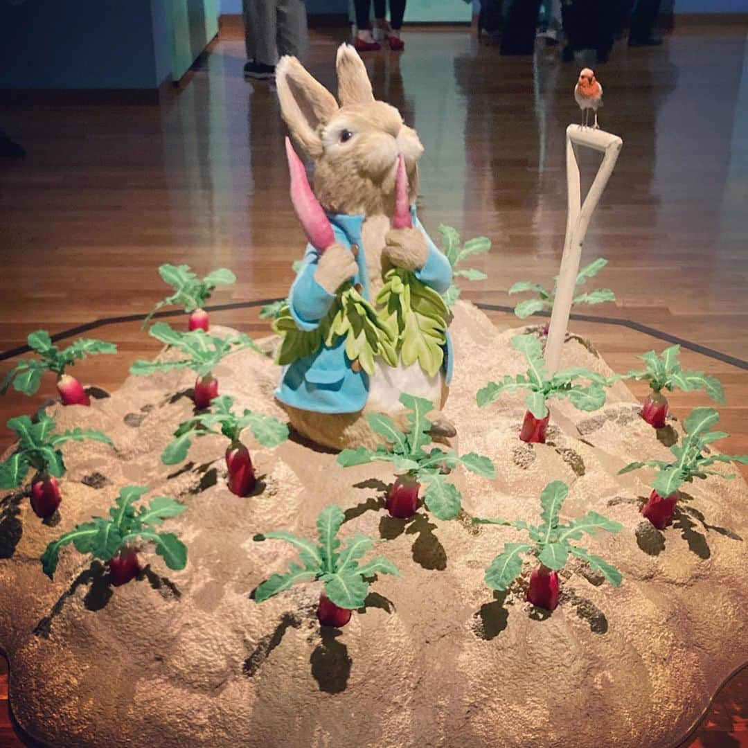 長谷部瞳さんのインスタグラム写真 - (長谷部瞳Instagram)「めっかわな世界🐇🥬🥕  肉のパイにされませんように。  れーきをふりふり 追いかけられませんように。  今日は#こどもの日  大人は元子ども！  自分のココロが子どもに戻ると 不思議と子どもとの距離も縮まります❤️  #ピーターラビット #ピーターラビット展 #ピーターラビットの世界 #イギリス #湖水地方 #絵本 #絵本のある暮らし #絵本の世界 #絵本作家 #絵本原画展 #ビアトリクスポター #うさぎ #ウサギ #世田谷美術館 #グッズ買いすぎ #でも後悔はしてない」5月5日 23時10分 - hasebe_hitomi