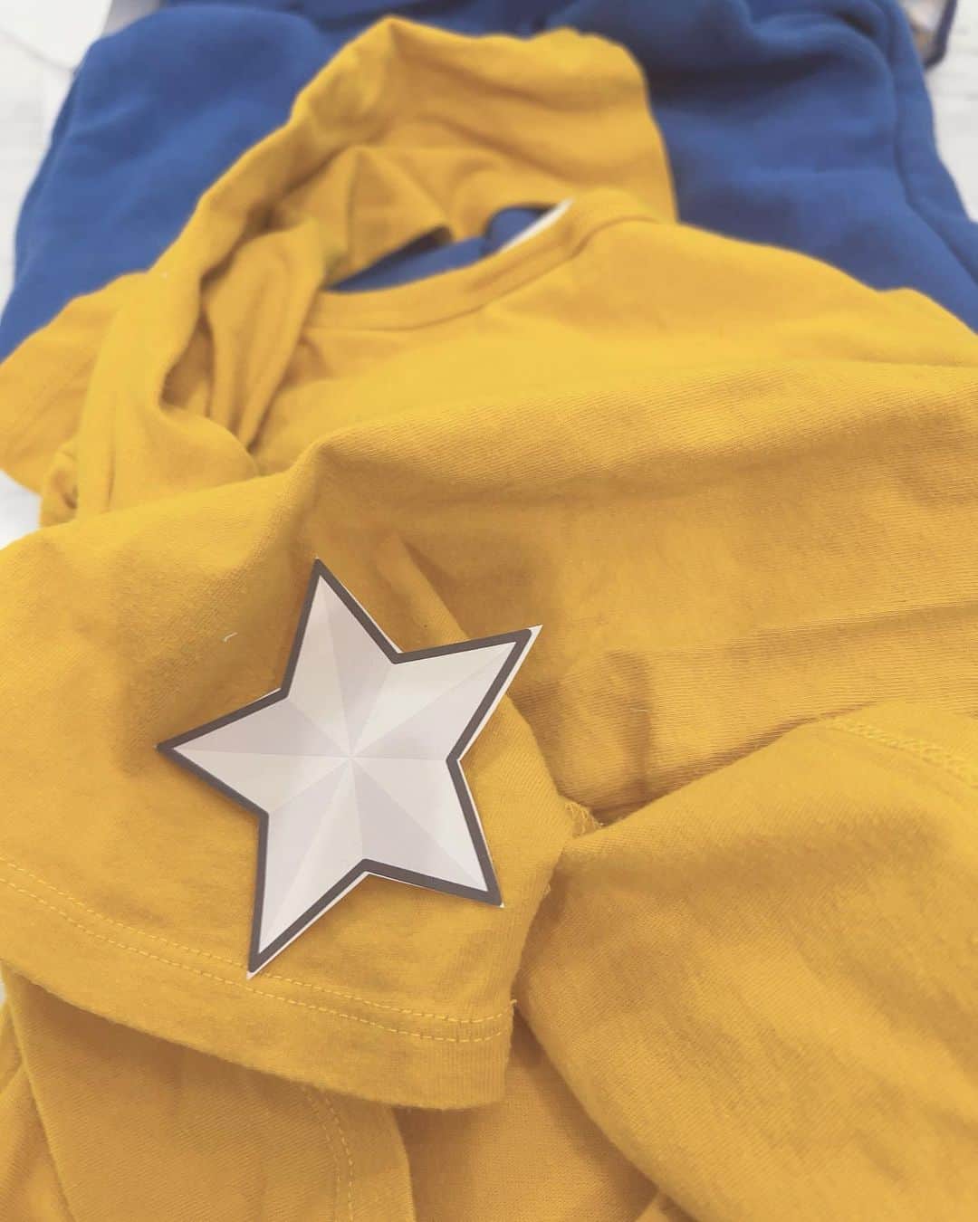 川崎希さんのインスタグラム写真 - (川崎希Instagram)「カゲトラのお洋服💓💓💓  カゲトラから『このぬいぐるみと同じズボンが欲しい』とリクエストがあって  夜な夜な家にある無地ズボンと使ってないTシャツをリメイクして 星柄ズボンを手作りしたよ😋  ズボンは星のくりぬきパターンも作ってから裁断したりしてなかなか上手く出来た気がする🫶🏻  でもトップスは水色の生地が家になくてアレクと私で色画用紙で作ってみました笑 (アレクはボタン担当) そしてそれにさらにカゲトラがアレンジを加えて完成〜💓💓💓  このキャラクター有名じゃないから全然グッズとかコスチューム売ってなくて自作するしかなかったの😂  どこでこのキャラクター覚えたんだ〜😅  #fnaf #ムーンドロップ #ってキャラクターらしい #手作り衣装」5月6日 0時50分 - kawasakinozomi