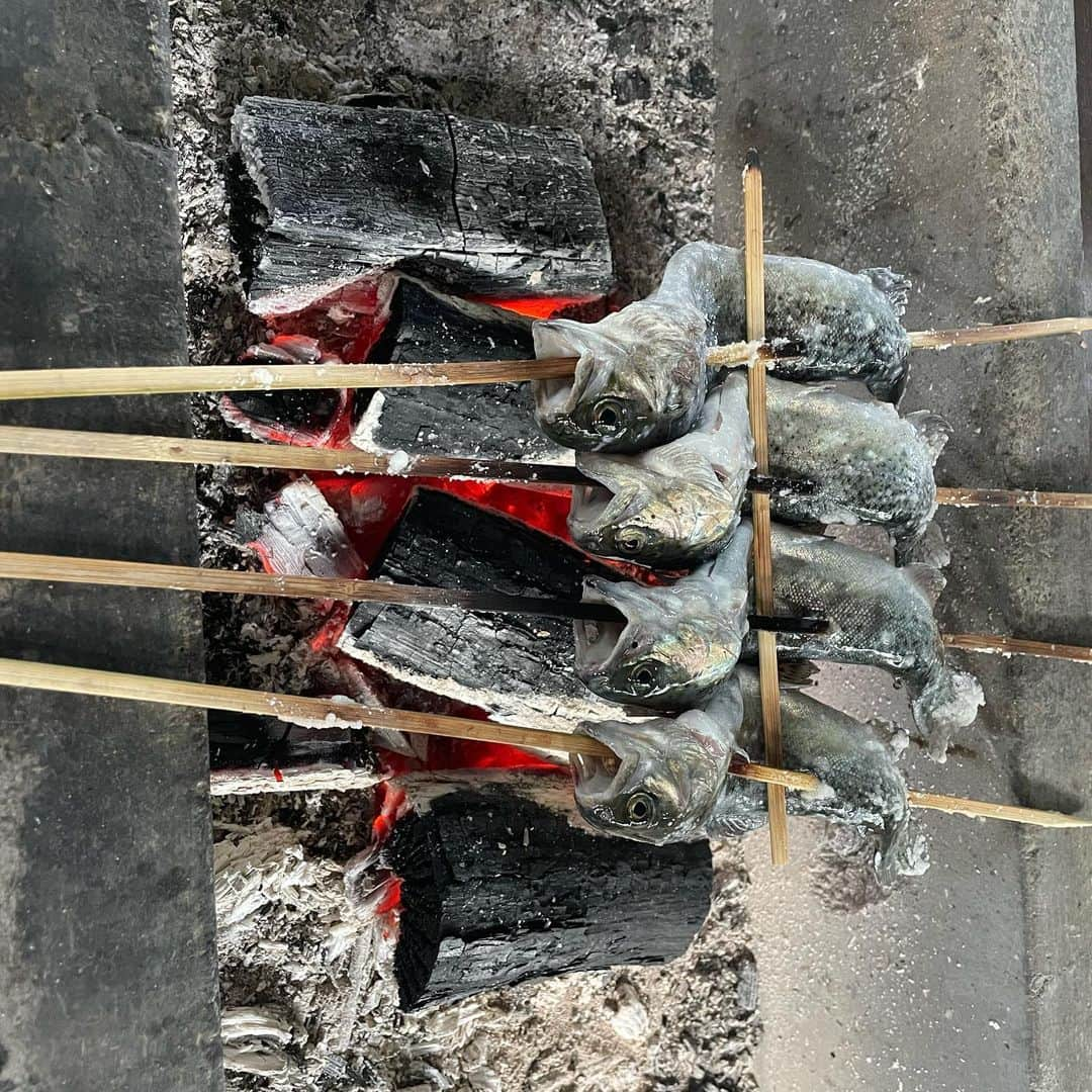 桃尻リカさんのインスタグラム写真 - (桃尻リカInstagram)「地元に帰ってみんなで釣り堀🐟  たくやくんだけ…🙄🙄 楽しすぎて没頭しすぎた🤣 またやりたいなぁ😗🤍  #釣り堀#長野#地元#実家#田舎#ニジマスの塩焼き#ニジマスの唐揚げ#黒川水産」5月6日 14時46分 - __saa__2