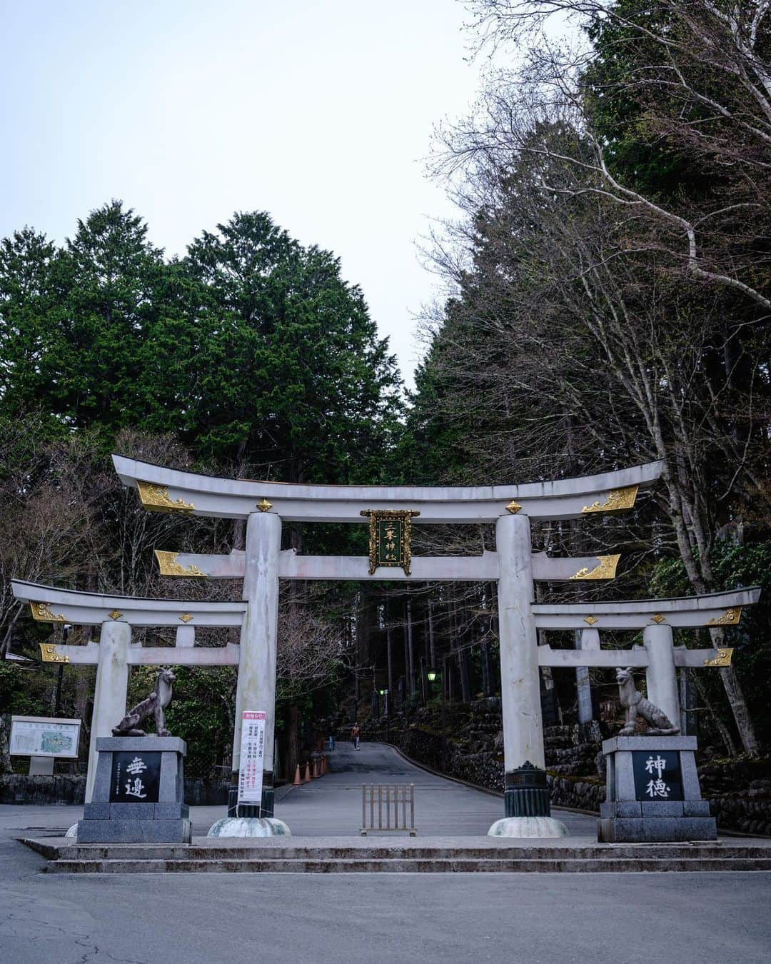 SHOCK EYEさんのインスタグラム写真 - (SHOCK EYEInstagram)「関東最強パワースポットとして名高い三峯神社⛩  何度も訪れている場所だけど、相変わらず素晴らしい。 ちょうど参道に鮮やかな花が咲いていてとても綺麗でさ、思わずパチリ📸✨ そしてそして、 今回ははじめて奥宮に行ったんだけど、 片道１時間半ほどの登山でたどり着ける奥宮は、静けさに包まれていたよ。  神社好きなら是非訪れてもらいたい場所＾＾  そしてもちろん本殿にも。  全国的にも珍しい三ツ鳥居をくぐると、  境内には、 立派な御神木の数々。 そして、鮮やかな装飾の社殿。  2012年の辰年に突如龍の浮き出た石畳🐲も忘れずに拝ませていただいて、、  大満足＾＾  三峯神社は、とにかく見所満載！ 是非、一度訪れて見てね♪  #三峯神社 #パワースポット #神社 #奥秩父 #関東最強 #japantravel #japantrip #beautifuldestinations #discoverjapan #discoverearth #voyaged #awesome_photographers #IamATraveler #wonderful_places #japanphoto #japanphotography #japan_of_insta #livingonearth #theglobewanderer」5月6日 16時39分 - shockeye_official