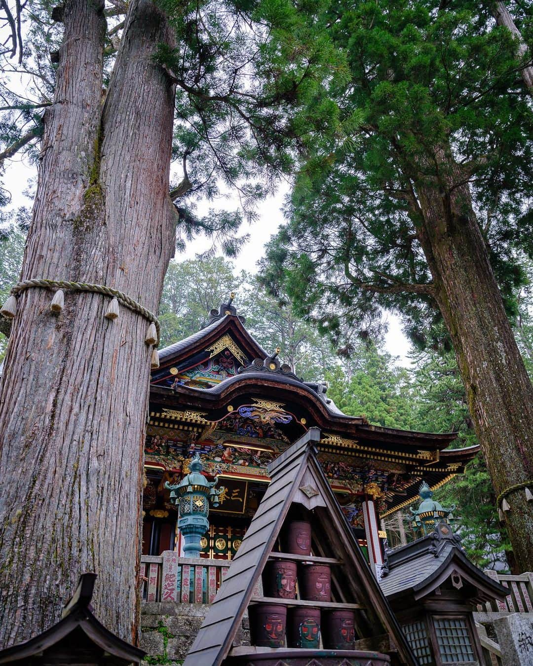 SHOCK EYEさんのインスタグラム写真 - (SHOCK EYEInstagram)「関東最強パワースポットとして名高い三峯神社⛩  何度も訪れている場所だけど、相変わらず素晴らしい。 ちょうど参道に鮮やかな花が咲いていてとても綺麗でさ、思わずパチリ📸✨ そしてそして、 今回ははじめて奥宮に行ったんだけど、 片道１時間半ほどの登山でたどり着ける奥宮は、静けさに包まれていたよ。  神社好きなら是非訪れてもらいたい場所＾＾  そしてもちろん本殿にも。  全国的にも珍しい三ツ鳥居をくぐると、  境内には、 立派な御神木の数々。 そして、鮮やかな装飾の社殿。  2012年の辰年に突如龍の浮き出た石畳🐲も忘れずに拝ませていただいて、、  大満足＾＾  三峯神社は、とにかく見所満載！ 是非、一度訪れて見てね♪  #三峯神社 #パワースポット #神社 #奥秩父 #関東最強 #japantravel #japantrip #beautifuldestinations #discoverjapan #discoverearth #voyaged #awesome_photographers #IamATraveler #wonderful_places #japanphoto #japanphotography #japan_of_insta #livingonearth #theglobewanderer」5月6日 16時39分 - shockeye_official