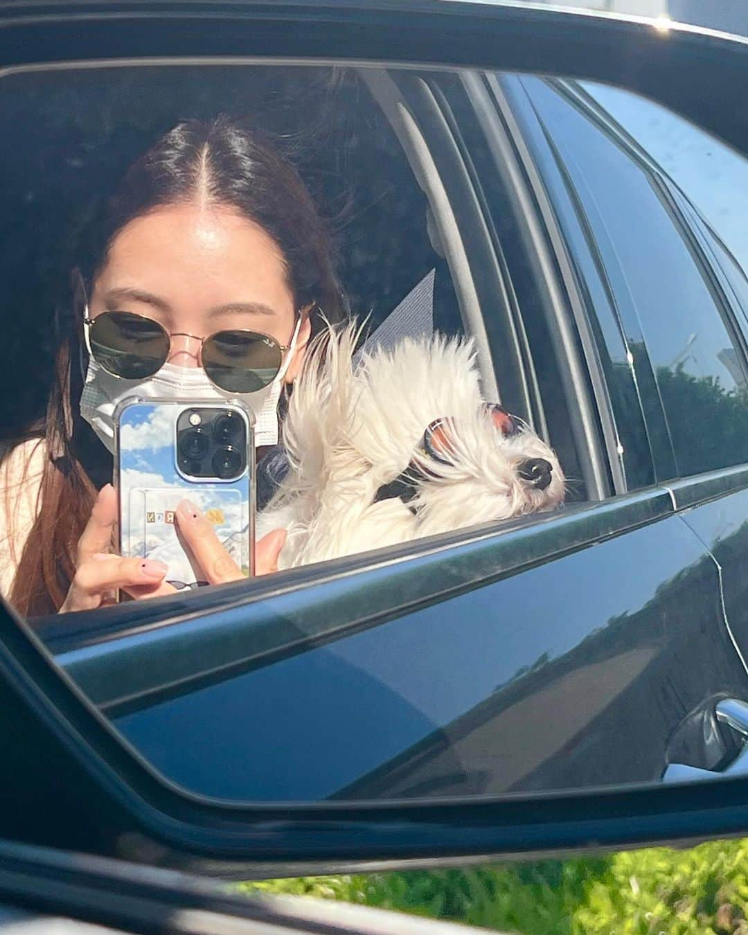 キム・ジェギョン さんのインスタグラム写真 - (キム・ジェギョン Instagram)「드롸이브부릉부릉😎🐶🚙」5月6日 19時41分 - _kimjaekyung_