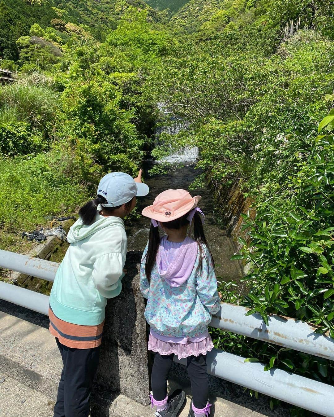 PINKYさんのインスタグラム写真 - (PINKYInstagram)「野草の会🌿  野山を散策しながら野草を摘んで、摘んだ野草を自分たちで料理して食べるという、とても素敵な体験をさせていただきました⛰✨  私はおひたし担当だったのですが、シロツメクサやヨメナなどの野草をさっと湯がくだけでこんなに美味しいんだ！と感動🥺  先生に教えてもらいながら匂いや見た目、味で食べられる野草を見つけるのがとても勉強になったし、野草のフルコースが美味しすぎてたまらなかった〜🤤❤️  普段は食わず嫌いする娘も『ちょっと苦いけど美味しい！』と野草のフライをパクパク食べてくれたのが嬉しかったなぁ👧🏻🌿✨  ・・・  #love #happy #family #momlife #parentslife #familytrip #天草 #野草の会」5月6日 20時25分 - shanti_pinky_shanti