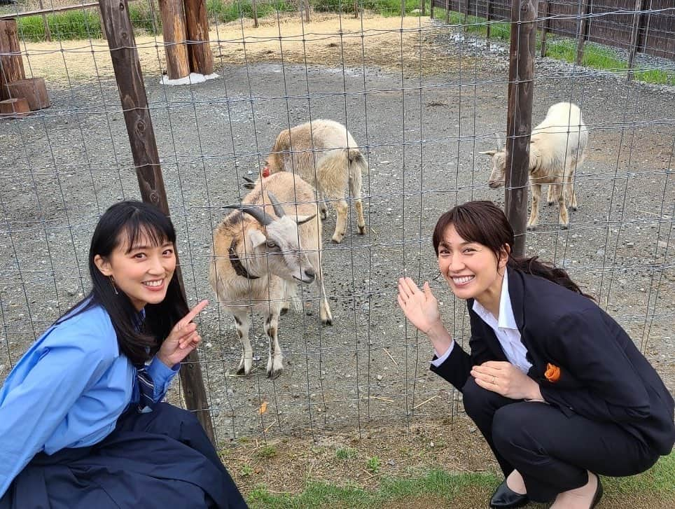 竹内由恵さんのインスタグラム写真 - (竹内由恵Instagram)「明日はテレビ静岡「くさデカ」に出演していますー！ 5月7日（土）18:30〜 今回は浅尾美和さんとロケにいかせていただきました。 岐阜在住で仕事と育児を両立されている美和さんに聞きたいことがたくさんありすぎて、合間にめちゃくちゃ質問しちゃいました。美和さんは自然体で明るくて優しくて、楽しかったなあ❤️  #くさデカ #浅尾美和 さん#ママトーク #静岡グルメ #ヨシエのコクチ」5月6日 20時55分 - yoshie0takeuchi