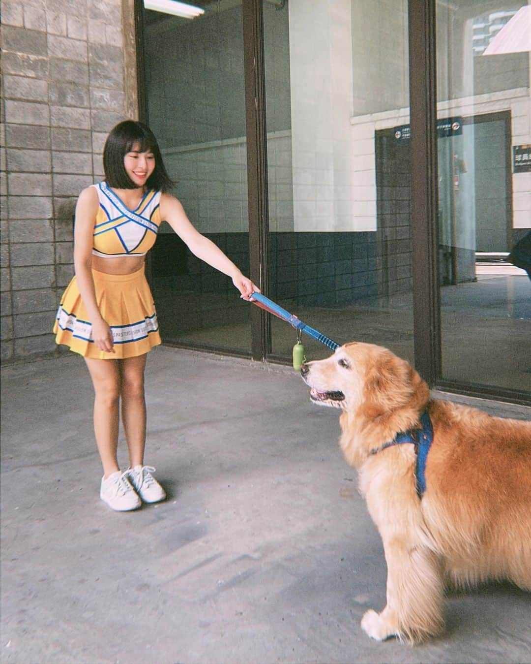 峮峮さんのインスタグラム写真 - (峮峮Instagram)「可愛到不行🐶❤️❤️  -每一張都好喜歡𝗥𝗥𝗥(ᐢ ܸ. .ܸ ᐢ)՞  -寵物日．你們到了咪✨✨  #山君球場日常 ♡」5月7日 15時24分 - qun_04