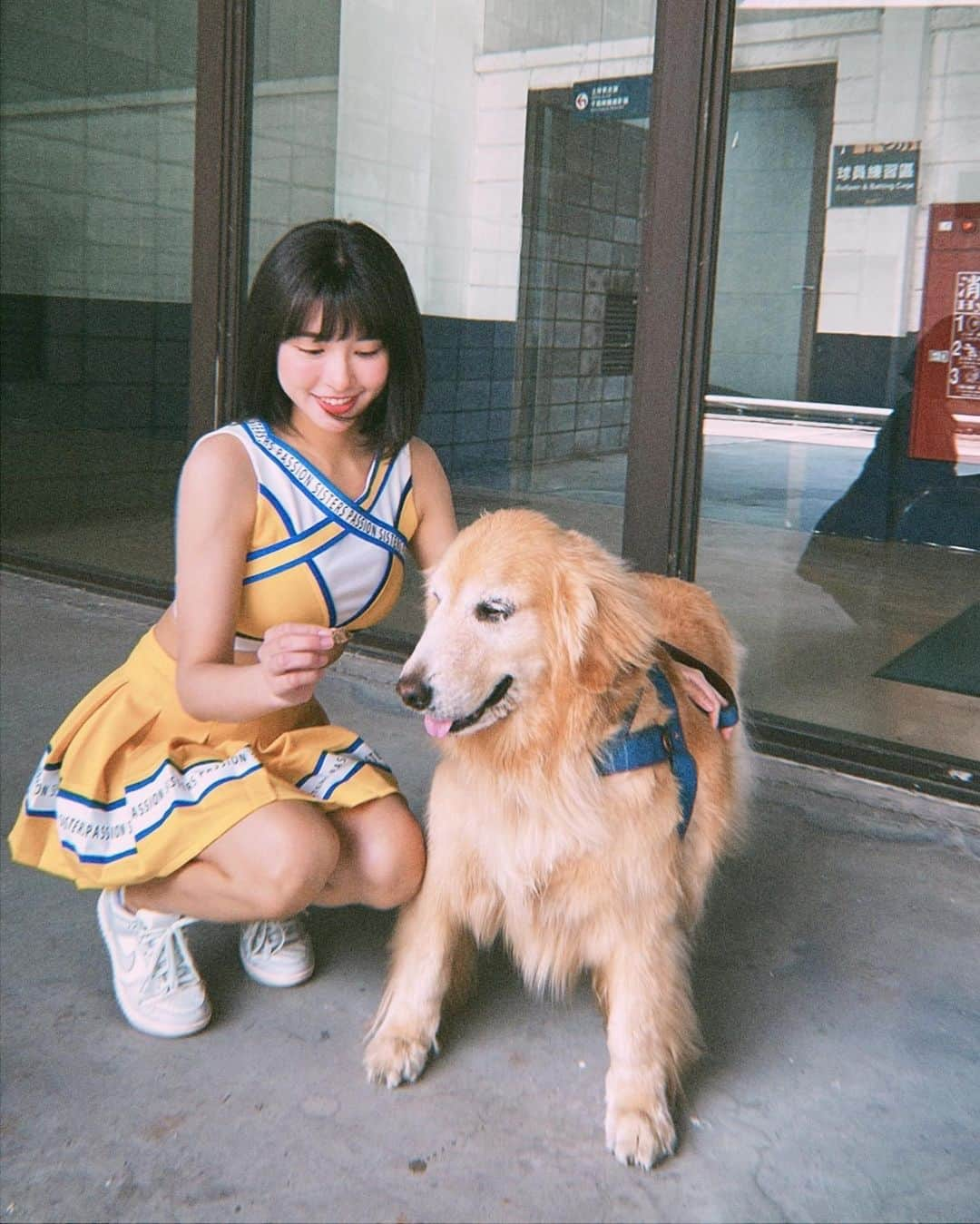 峮峮さんのインスタグラム写真 - (峮峮Instagram)「可愛到不行🐶❤️❤️  -每一張都好喜歡𝗥𝗥𝗥(ᐢ ܸ. .ܸ ᐢ)՞  -寵物日．你們到了咪✨✨  #山君球場日常 ♡」5月7日 15時24分 - qun_04