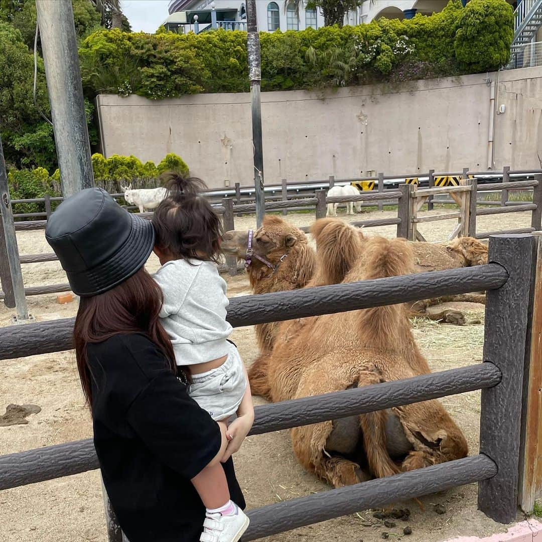 前田俊さんのインスタグラム写真 - (前田俊Instagram)「パンダ可愛すぎた🐼」5月7日 19時36分 - maeda__shun