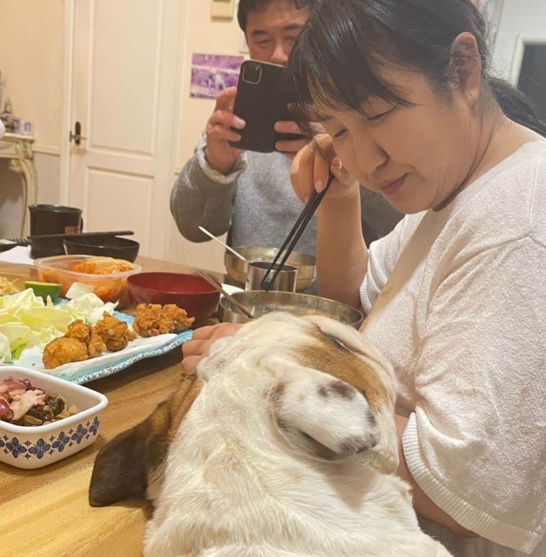 北斗晶さんのインスタグラム写真 - (北斗晶Instagram)「何食べてるの⁉️ 見せて、見せて🐶  毎日、何食べてるのか⁉️ 覗きます🫣  そして…下には、何か落ちてこないかと😅 待機する子達🐶🐶  お母さんは、これ食べてるのよ〜❤️  #本日の夕食  #人間のご飯に興味津々  #愛犬  #ブルドック  #フレンチブルドッグ」5月7日 21時35分 - hokutoakira_official