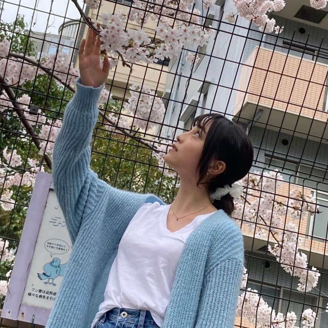 福田ルミカさんのインスタグラム写真 - (福田ルミカInstagram)「⁡ ちょっと前の写真🌸 ・ 最近は暑かったり寒かったりむしむししてたり、、天気が安定しないですがみなさん体調には気をつけてください😵！ ・ ・ ・ ・ ・ #福田ルミカ#sjk#女優#モデル#acali#高校2年生#桜」5月8日 9時20分 - fukuda_rumika