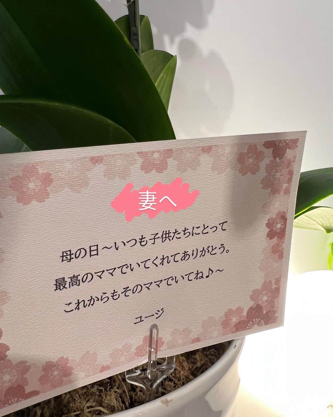 ユージさんのインスタグラム写真 - (ユージInstagram)「Happy 母の日🌸今日は妻と母と義母に日頃の感謝の気持ちを込めて花を送りました。今年は胡蝶蘭❗️  これを見てくれてる全てのお母さんへ！いつもありがとう😊👍🏼  #母の日」5月8日 18時03分 - yujigordon