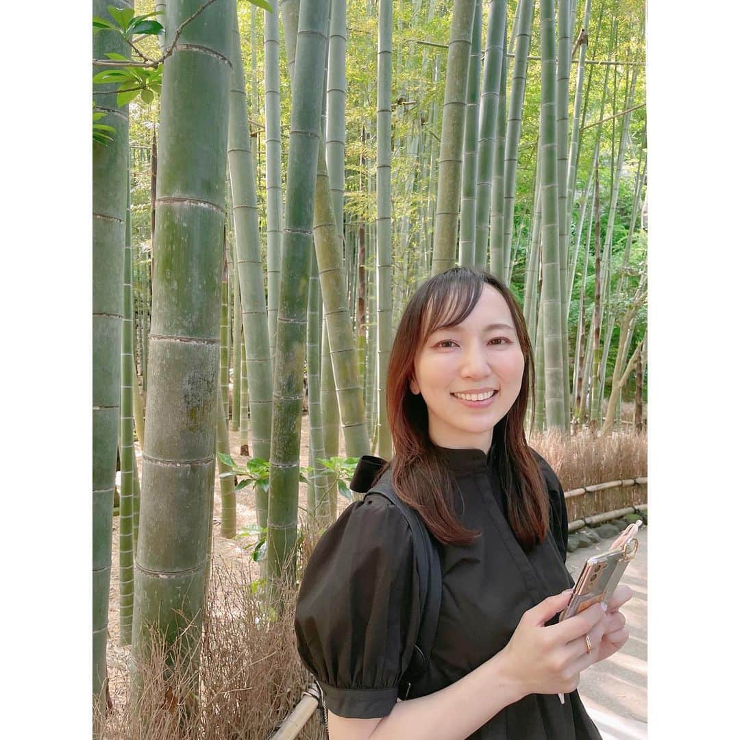 佐々木瞳さんのインスタグラム写真 - (佐々木瞳Instagram)「【GWは、鎌倉へ日帰り女子旅🚃】  5日は、#鎌倉 へ #日帰り女子旅 へ ワンキャリアのお仕事でも一緒の @kishida_ayaka1122  ちゃんと楽しく旅してきました♡  #GW の混雑でランチタイムは予約できず😂オープンと同時に #季節料理あら珠 #和食 を堪能🍱  前から行きたかった竹林で有名な #報国寺 へ🍃 豊かたくさんの緑と、生き生きした #竹林 たちに癒されまくりました🌿 まるで、#もののけ姫 の世界みたいで、2人で「#こだま、いそうー！」とテンションアップ！  鎌倉駅方面にむかっていたら、気になるカフェを発見 #和喫茶金魚の栖 お店の中にもかわいい #金魚たちが泳いでいました˚✧₊⁎❝᷀ົཽ≀ˍ̮ ❝᷀ົཽ⁎⁺˳✧༚  この日はとっても暑くて、まるで初夏の陽気。鎌倉駅前で #ジェラート を頬張って🍨  とにかくずーーーっと喋りっぱなしで、#鎌倉散策 しながら、仕事の話から趣味の話、女子トークまで盛りだくさんで話が尽きず、めちゃくちゃ楽しい時間でした♡ 次回の、#女子旅 も楽しみ*･゜ﾟ･*:.｡..｡.:*･'(*ﾟ▽ﾟ*)'･*:.｡. .｡.:*･゜ﾟ･*  #鎌倉 #鎌倉旅 #かまくら #女子旅  #local #地域 #ちいきぐらむ #地域創生　#地域活性化　#関係人口　#地域の魅力　#地域好きな人と繋がりたい　#ローカル好きと繋がりたい　#たびぐらむ　#旅好き　#旅好きな人と繋がり #佐々木瞳 #佐々木瞳アナウンサー」5月8日 23時22分 - hitomihappygirl1026
