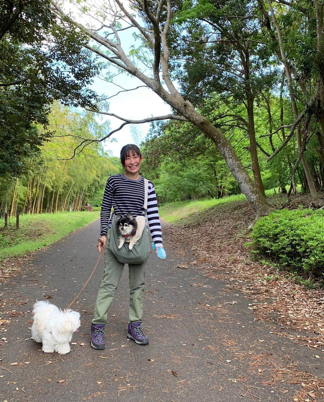 小野真弓さんのインスタグラム写真 - (小野真弓Instagram)「おはようございます😊☁️  そら豆収穫まつり〜＼(^ω^)／✨ 真冬に植えたお豆さんたち🌱  さむーーい冬を乗り越え☃️❄️ しっかり育って、 沢山実をつけてくれました😆 うれちい(*´꒳`*)✨ とれたてはおいちい〜😋  毎年恒例、夏野菜たちも植えたので〜 楽しみです😆✨ 🍅🍆🫑  収穫したら〜 野菜顔作りがちかーさん🙋‍♀️ 今季1号😊 心なしか、野菜顔の表情に 今の気持ちが表れる〜☺️😞☺️  見守る、モケハル🐏🐾  今日も良い一日を〜☺️🌷  #そら豆収穫#スナップエンドウ少し #ミニ菜園#ミニ畑#庭 #チワワ#ハナちゃん #チワマル#ハルくん #雑種猫兄妹#アオナナ#ちりん #仲良しわんにゃん#お泊まりにゃんこ #犬と猫のいる暮らし#犬猫日記#朝日記#野菜顔シリーズ1号#千葉暮らし」5月9日 6時31分 - hanaharuaroi