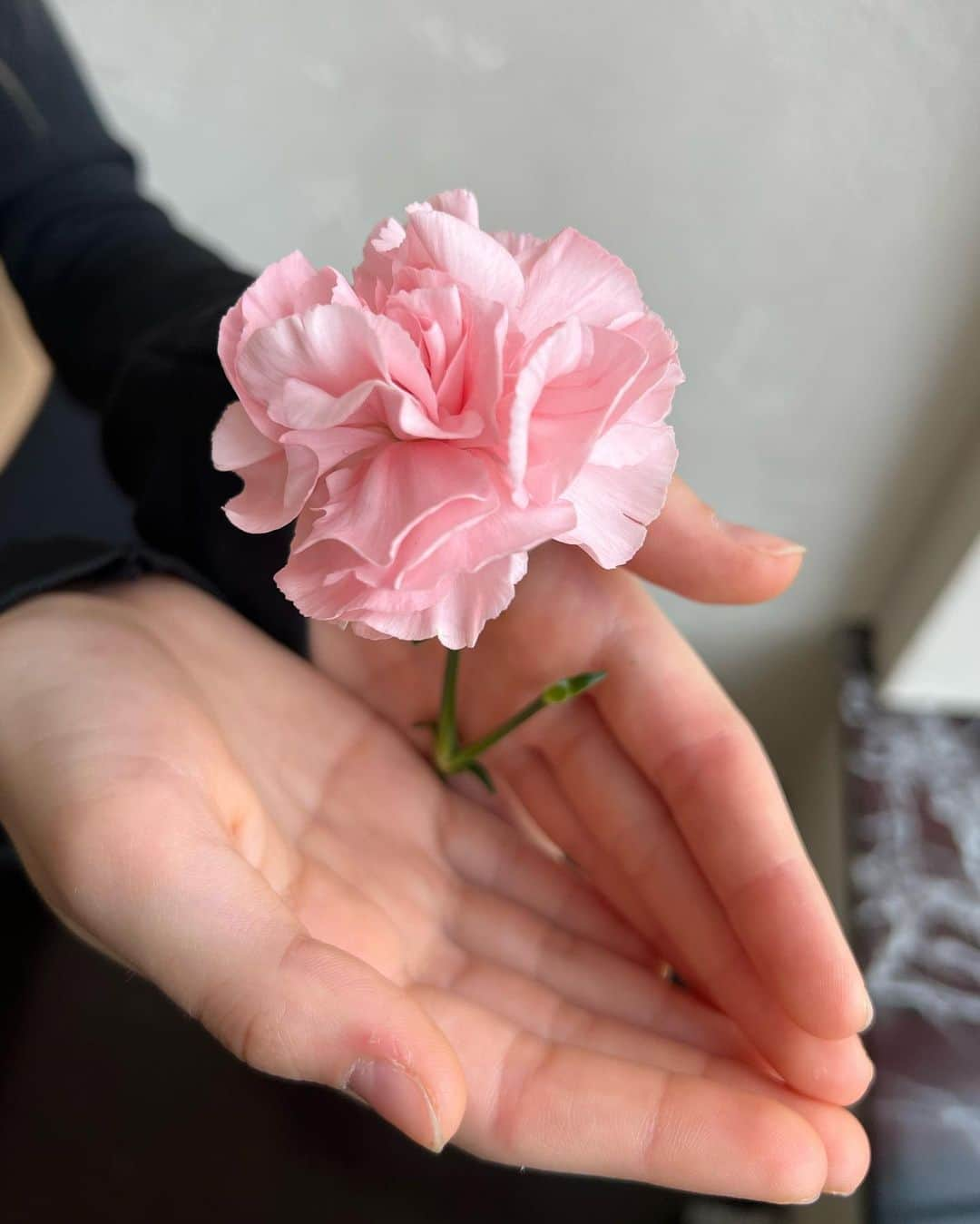 アンナ・ヴァワガさんのインスタグラム写真 - (アンナ・ヴァワガInstagram)「С Днём Победы🌷Мирного неба🕊」5月9日 18時06分 - annapavaga