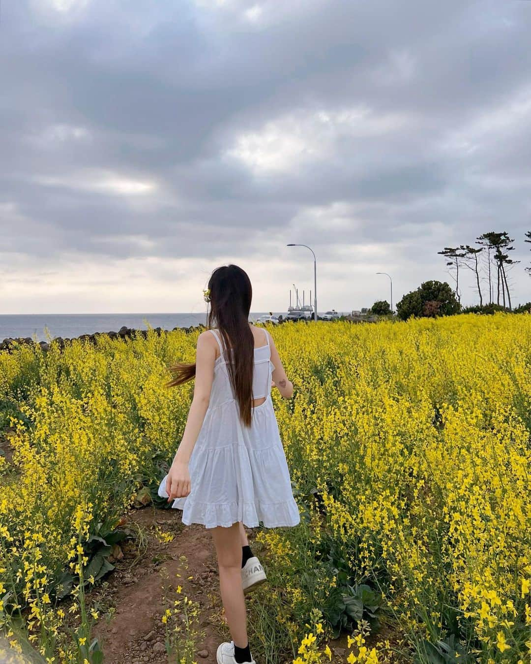 ハン・アルムソンイさんのインスタグラム写真 - (ハン・アルムソンイInstagram)「제주도 날마다 가면서 유채꽃밭 첨 가본사람 나야나 ~~~🌼🌼🌼💛✨💫」5月9日 21時37分 - areumsongee