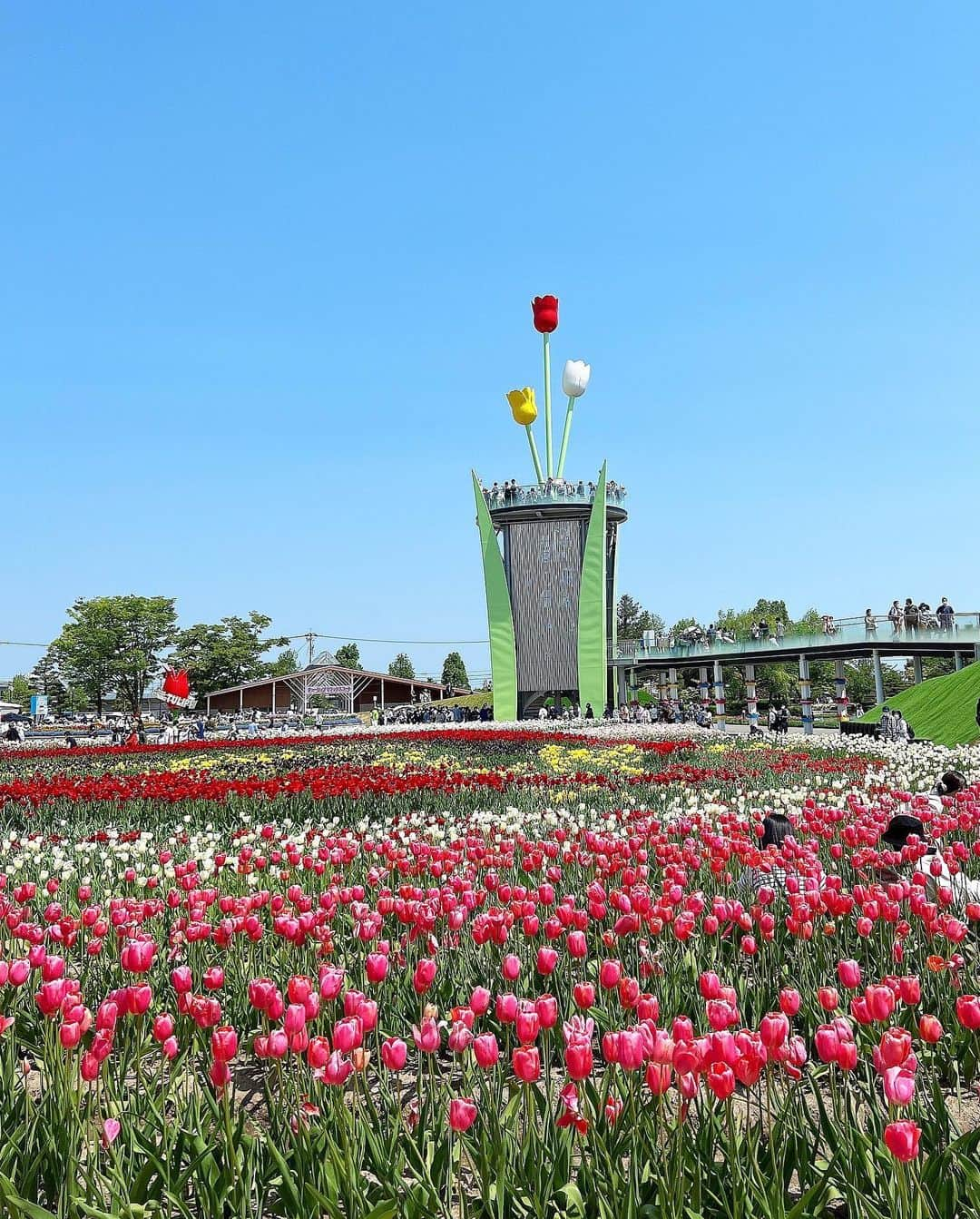 得あゆさんのインスタグラム写真 - (得あゆInstagram)「砺波チューリップフェア🌷 ザ、地元の公園⛲️ GWに富山に帰った時だけ見る事ができる！ 一面のチューリップ🌷とても可愛いかった〜🌷❤️  tops : @mirror.me_official 🤍 質問沢山頂いてたこのtops😍 可愛すぎるのでいっぱい着回す🤍🤍🤍🤍  ・ ・ ・ ・ ・ ・ ・ ・ ・ ・ ・ ・ ・  #mirrormeスタイル#selectshopmirrorme#ミラーミー#mirrorme#tops#トップス#ブラウス#シャツ#着回し#着回しコーデ#サンバイザー#白コーデ#サンダル#チューリップ#チューリップ畑#砺波#砺波チューリップ公園#砺波チューリップフェア#チューリップフェア#お花畑#ゴールデンウィーク#gw#ママコーデ#ママファッション#子育てママ#gw旅行#富山グルメ#地元#田舎の風景#sunvalley」5月10日 16時43分 - tokuayu819