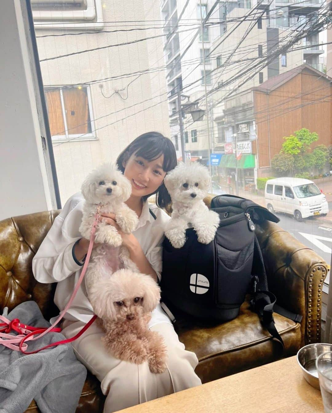 高嶋香帆さんのインスタグラム写真 - (高嶋香帆Instagram)「先日の、あみちゃんと念願の犬会🐶✨ わんこたちは自由なのでいつも爆速で人間の食事を終わらせる事になりますが、 それでも一緒にお出かけは嬉しい🥰  初きなこくんはあみちゃんと終始ラブラブで可愛かったぁ😍😍😍💓  #犬カフェ #白金カフェ #aneacafe」5月10日 20時38分 - kaho_takashima