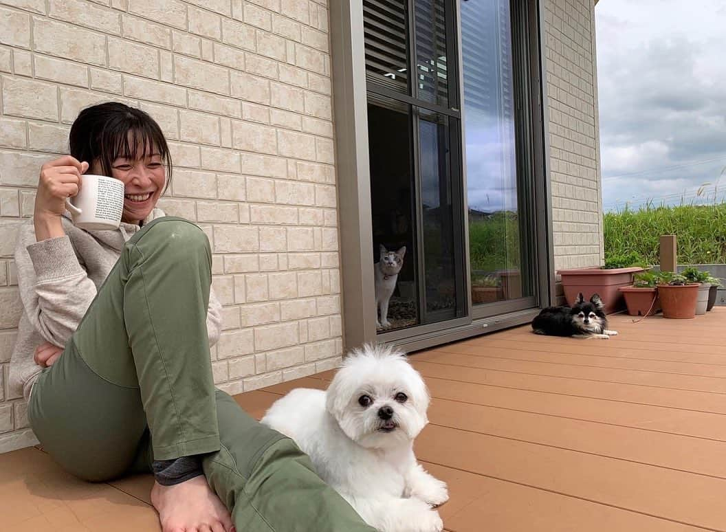 小野真弓さんのインスタグラム写真 - (小野真弓Instagram)「おはようございます☺️ さわやかな季節🌿✨ お外が気持ち良い〜☕️^_^  今日もそれぞれ、 良い一日を☺️🍀  #のんびり時間#コーヒータイム #犬と猫のいる暮らし#犬猫日記 #仲良しわんにゃん家族#わんさんぽ#千葉暮らし #チワワ#ハナちゃん#のんびりシニア #チワマル#ハルくん#ふわもこまる #雑種猫兄妹#アオくん#ナナちゃん #お泊まり猫#ちりんくん#あまえんぼ猫」5月11日 9時09分 - hanaharuaroi