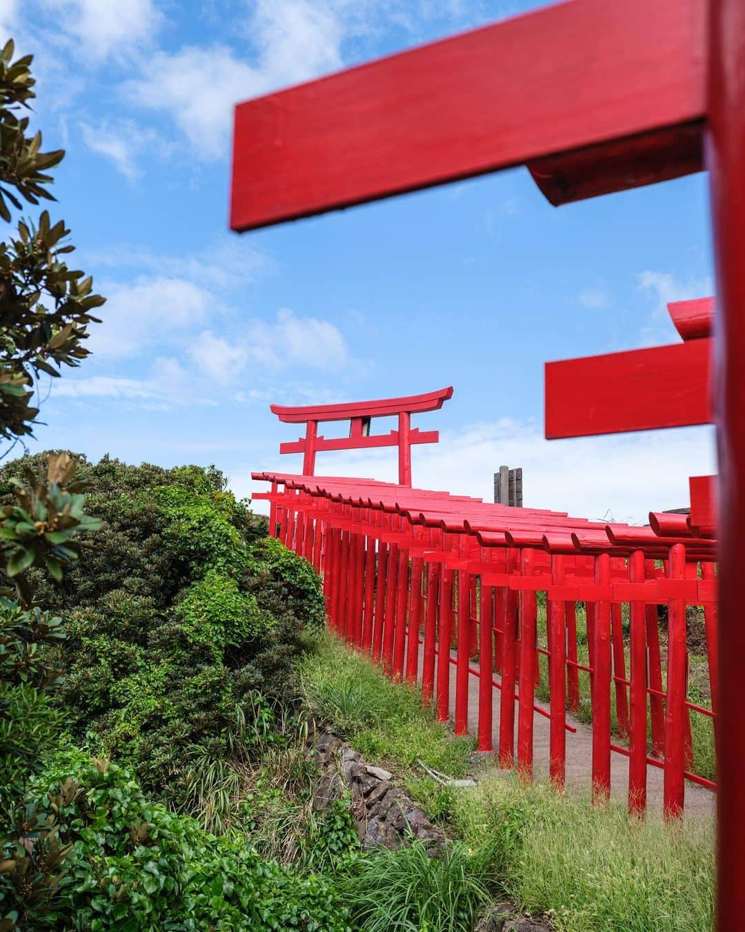 SHOCK EYEさんのインスタグラム写真 - (SHOCK EYEInstagram)「鳥居⛩  鳥居というモチーフは、本当に素晴らしい。  そこにあるだけで、この場所が特別な場所だということを示している。  ある時は聖域への入り口として。 ある時は人々の感謝の証として。  #torii #toriigate #鳥居 #shrine #神社 #japantravel #japantrip #canon #canonR5 #beautifuldestinations #discoverjapan #discoverearth #voyaged #awesome_photographers #IamATraveler #wonderful_places #japanphoto #japanphotography #japan_of_insta #livingonearth #theglobewanderer #sanctuary」5月11日 13時58分 - shockeye_official