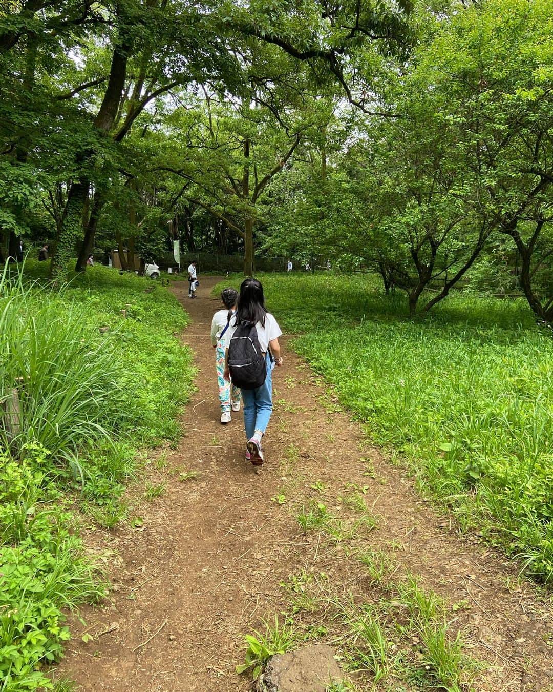 矢沢心さんのインスタグラム写真 - (矢沢心Instagram)「☆  先日お休みの日に 長女の案で 自然散策に行ってきました 息子は公園を走り回り 階段を駆け足で上がっては下り 皆んなで走り回りました 良い運動になったし 花や虫にふれる事が出来 楽しかったです🪷  こんな日常を過ごせること 感謝です。。  #自然散策 #てんとう虫みいつけた #バッタもみつけたよ #かたつむり久しぶりにみたよ  息子から目を離さないようにと 写真を撮る事はなかなか難しいです😅」5月11日 14時03分 - yazawashin.official