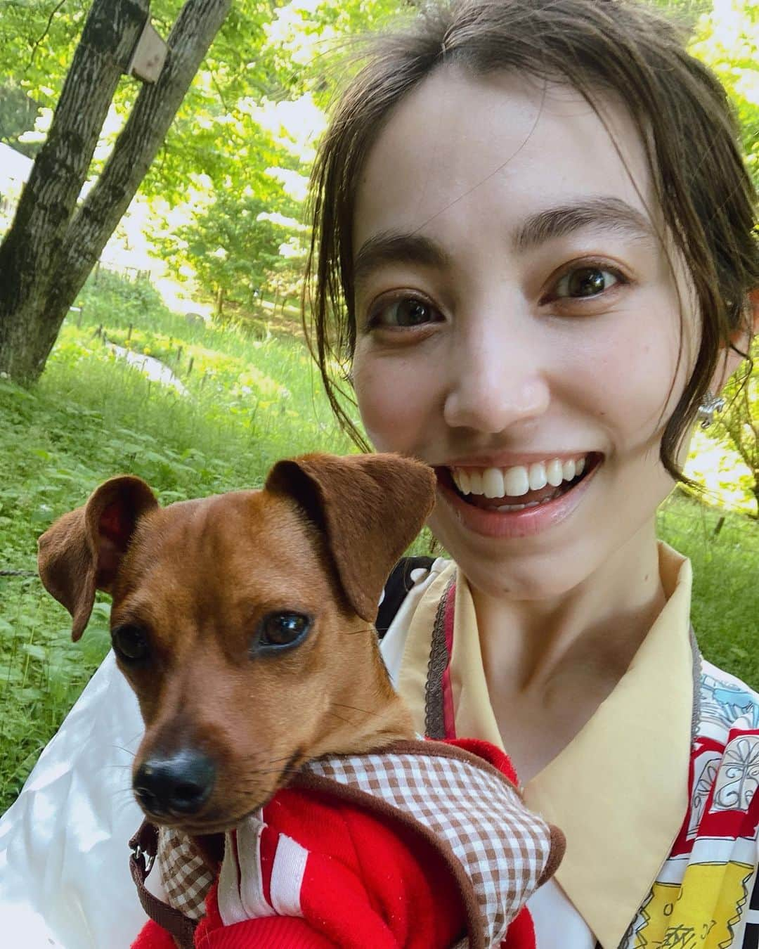 加藤ジーナさんのインスタグラム写真 - (加藤ジーナInstagram)「あばれワンコ🐕まっけんが昨日で9ヶ月だったよ🌈🧚‍♀️ 基本的にずーっと寝てるけど 暴れる時は超激しいウチの子🤣 上手に写真なんて撮れやしない🤣 服を着せるのもハーネスつけるのも全部一苦労🥲 ちゃんと大人しくさせて首輪はつけましょうなんて言われても 全然できないのよ！！！！😂笑 色んな動画やら本やら読んで躾のお勉強して試してるけどダメ😂 私のやり方が悪い、、、 いやそれだけじゃないはず笑 この子はこういう子なの！笑 待て、お座り、伏せ、お手 はできるようになったんだけどなあ🤣？ お留守番と散歩の準備がまだね、、 あと拾い食いしたくて仕方ないみたいでそれも困りもん😅 犬育てむずー！ だけどうちに来た時は、まずひたすら噛むので困ってたし、思い返せば9ヶ月でいっぱい成長した！💐 えらいえらい🐕💗 #愛犬 #うちの子 #ミニピン #ミニチュアピンシャー #minipin #9ヶ月 #子犬 #わんこのいる生活 #わんこ」5月11日 17時43分 - katogina_718