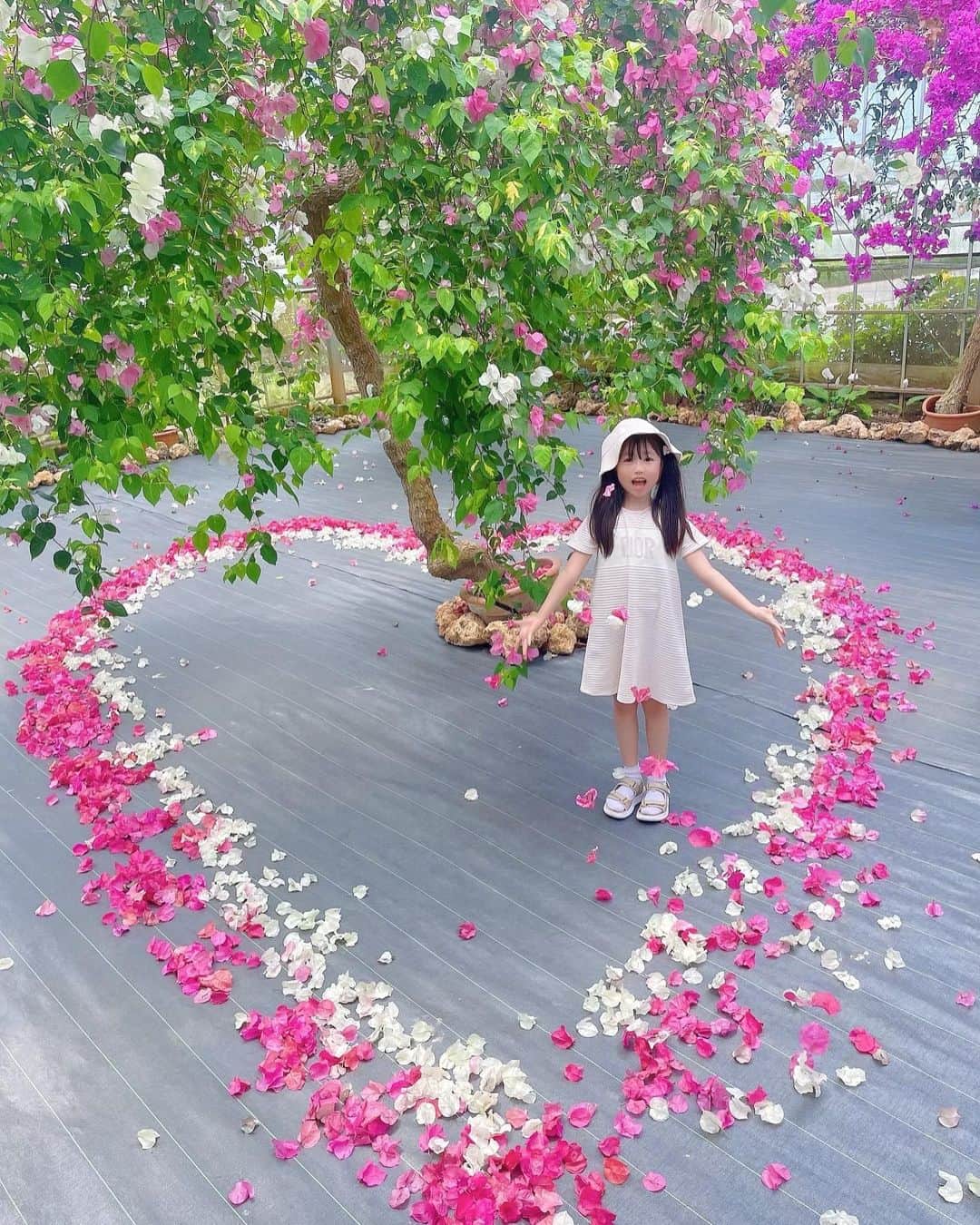 MIRIさんのインスタグラム写真 - (MIRIInstagram)「子供は自然が似合うね☺️🌈🌿  可愛い写真スポット多かった🫶💕  #植物園 #ハイビスカス #🌺  #写真スポット  #花 #flowers  #gw #gw旅行 #trip  #kids #娘 #女の子 #2022 #思い出  #picture #JAPAN  #resort  #bag #chanel  #dior #diorkids  #帽子 #FENDI #サングラス  #memory #宮古島  #写真 #景色 #絶景 #家族旅行」5月11日 20時29分 - miri.o3