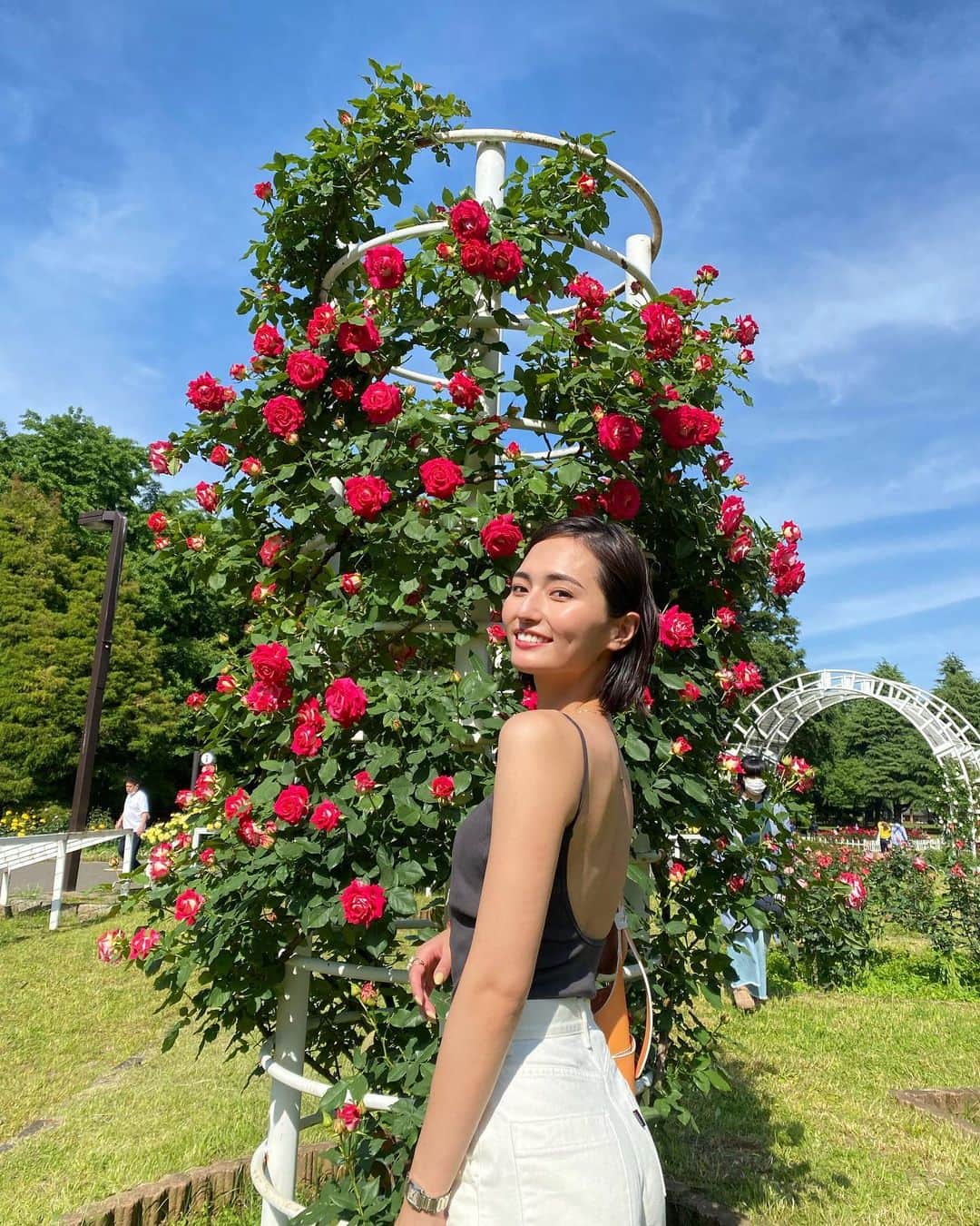 山賀琴子さんのインスタグラム写真 - (山賀琴子Instagram)「こんなに綺麗なバラが咲いていたら撮りたくなってしまうよね  瑞々しい桃のようなバラ、とてもかわいかった。♡」5月11日 21時18分 - kotokoyamaga