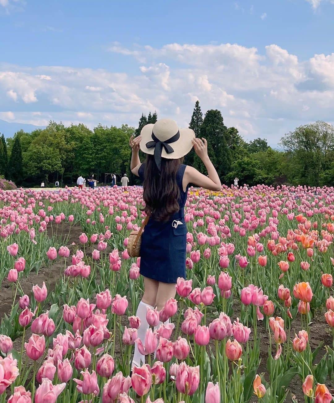 古澤里紗さんのインスタグラム写真 - (古澤里紗Instagram)「ポピーが1番好きな花🤭💞 . . . #くじゅう花公園  #ふーりーこーで」5月11日 22時09分 - fuuuuu_ri